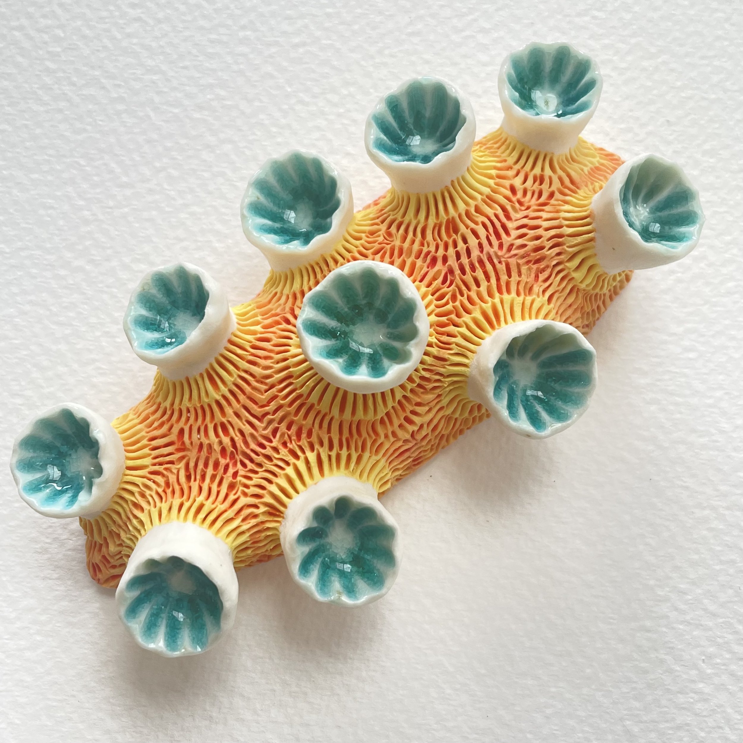 Mini Nudibranch 068