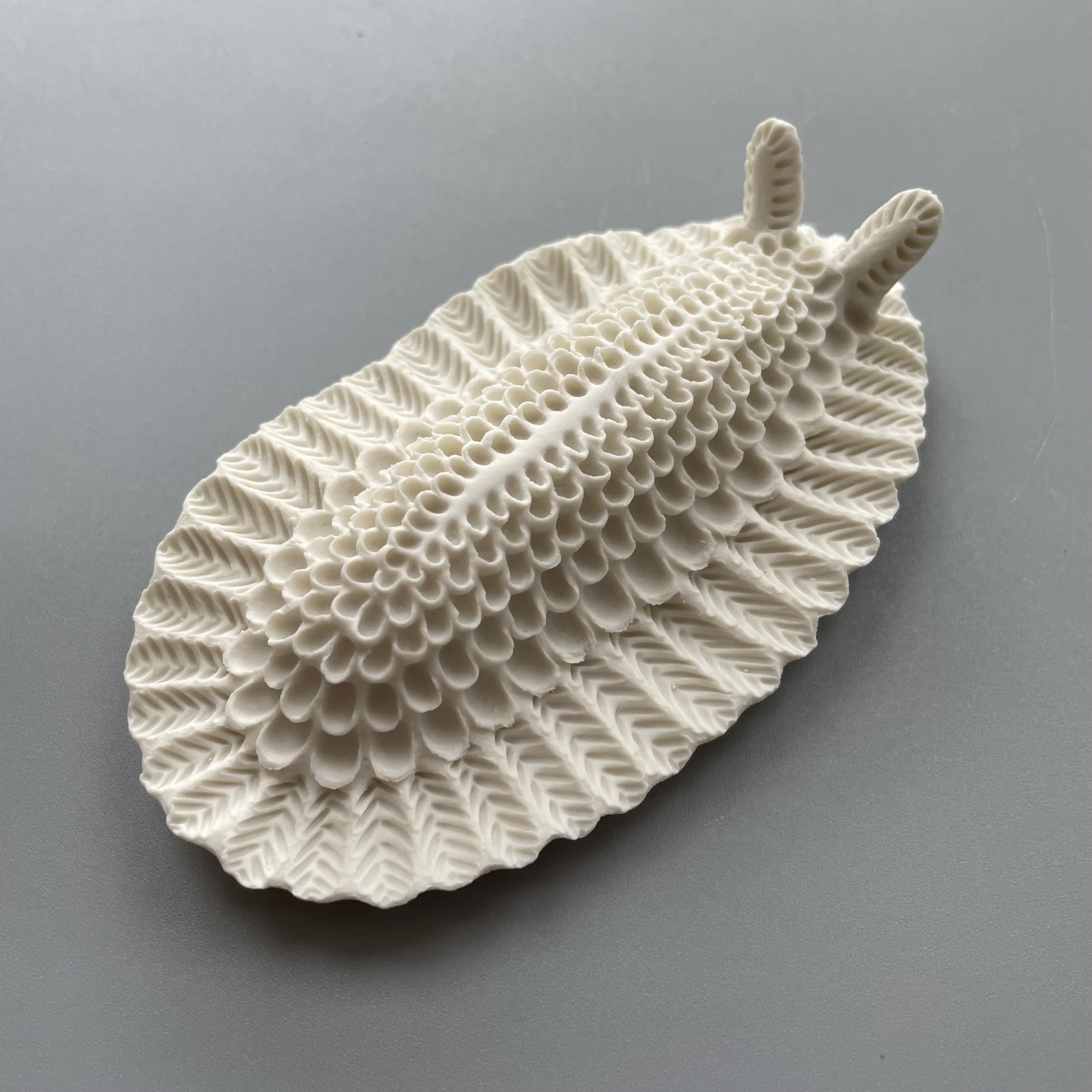 Mini Nudibranch 036