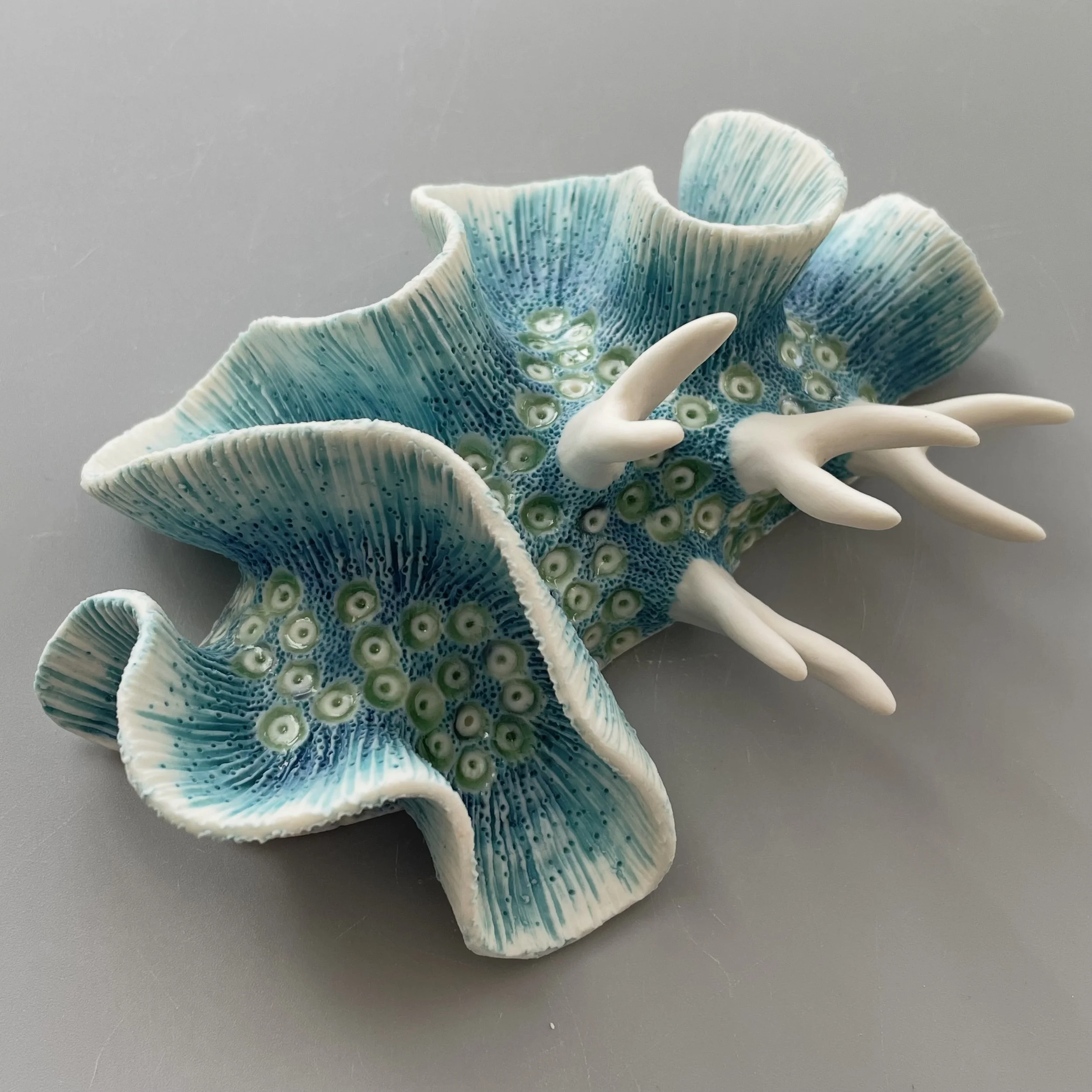 Mini Nudibranch 100