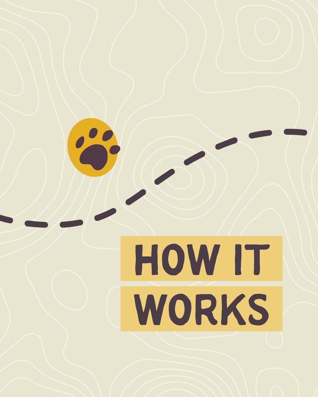How it works📍We'll walk you through the newbie Floof steps: From &quot;Uh oh, Grandma can't watch our floof anymore!&quot; all the way to &quot;That sitter is my floof's new best friend!&quot; 💛🐾 #austin #petsitting #atx #dogs #dogsitting