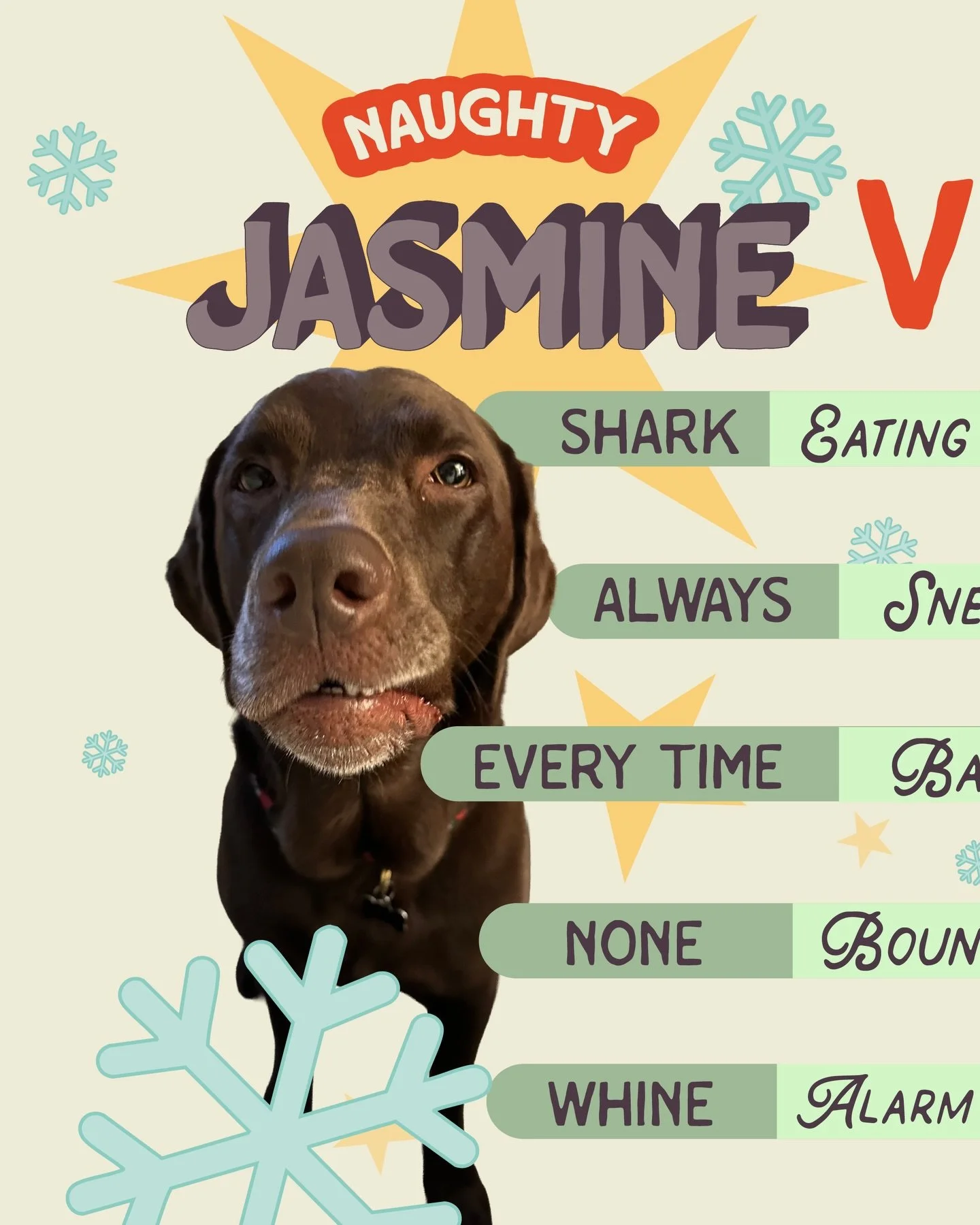 Tis the season!! We&rsquo;re back for an XTREME FLOOF SHOWDOWNNNN (Holiday Edition)

Santa Paws gave us a sneak peak on who&rsquo;s on his NAUGHTY😈🎄and NICE😇🎁 list!!!

In this cornerrrr🔊💥we have JASMINE!!! Watch out, Mr. Paws reports that she i