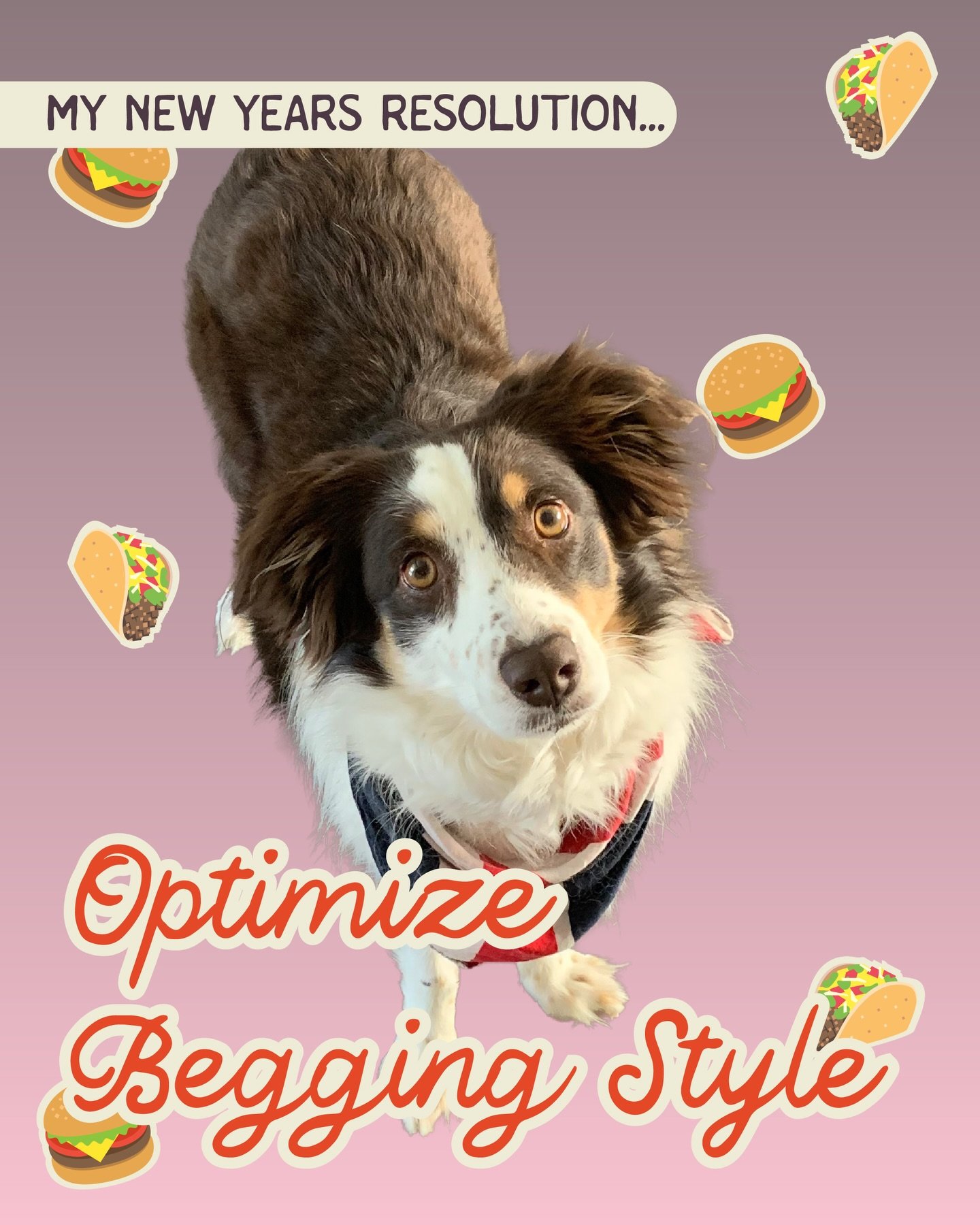 Peak Floof performance loading for 2026 😼🦾📈💛