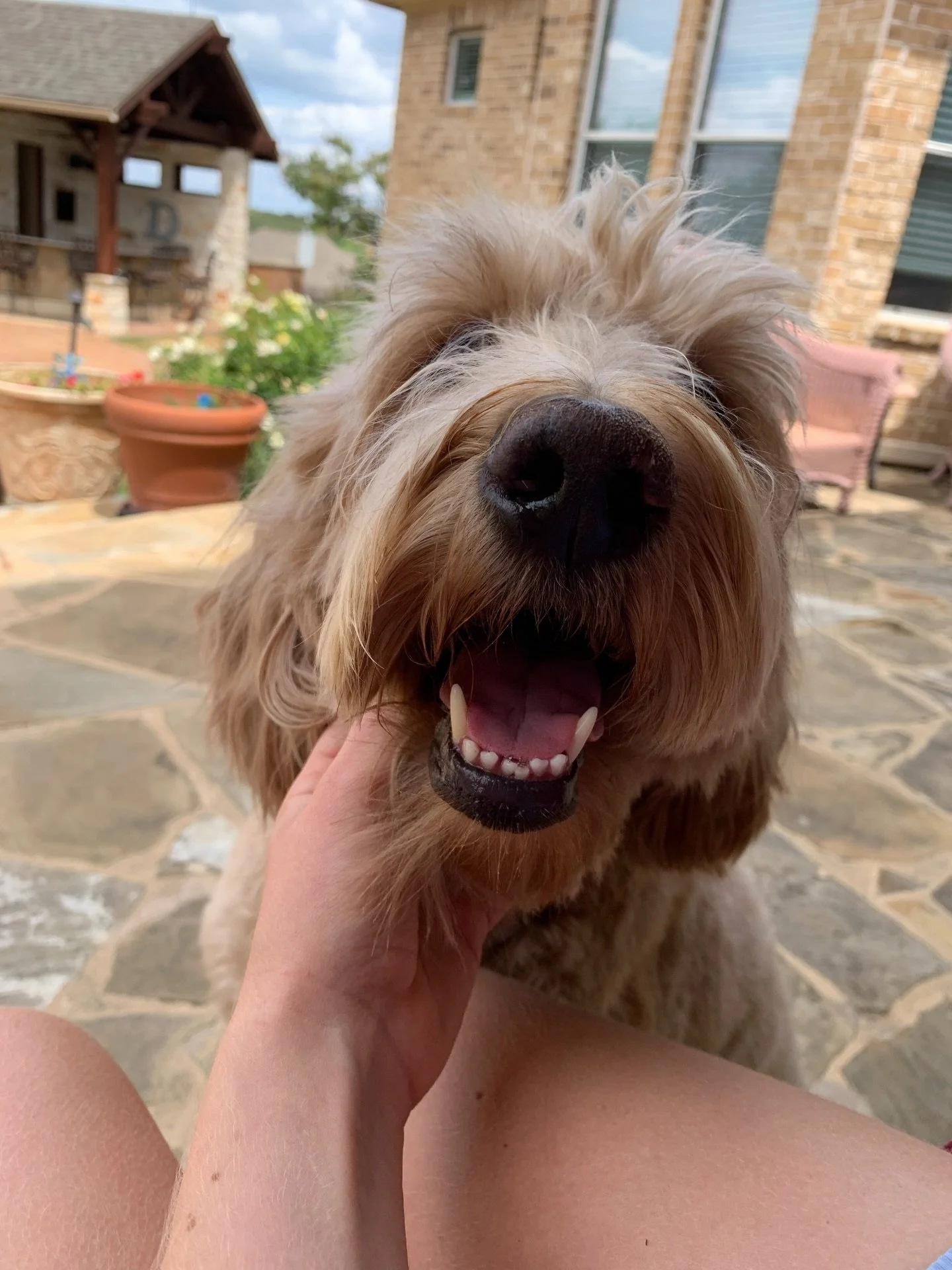 Happy New Years from Floof Club!! Cheers to more wet noses and belly scratches in 2026💛🥂