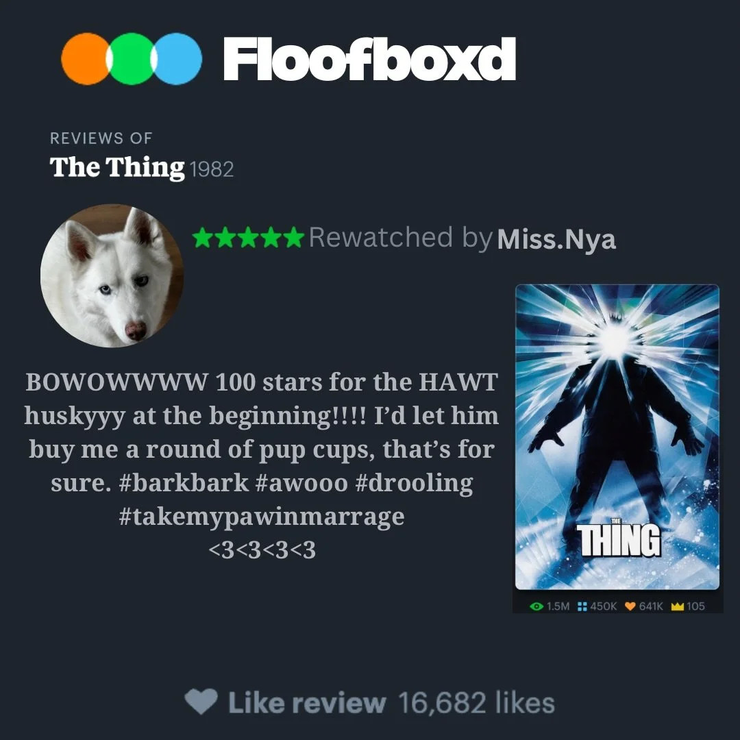 Queuing up our watchlist on Floofboxd for this winter weather🥶❄️☃️