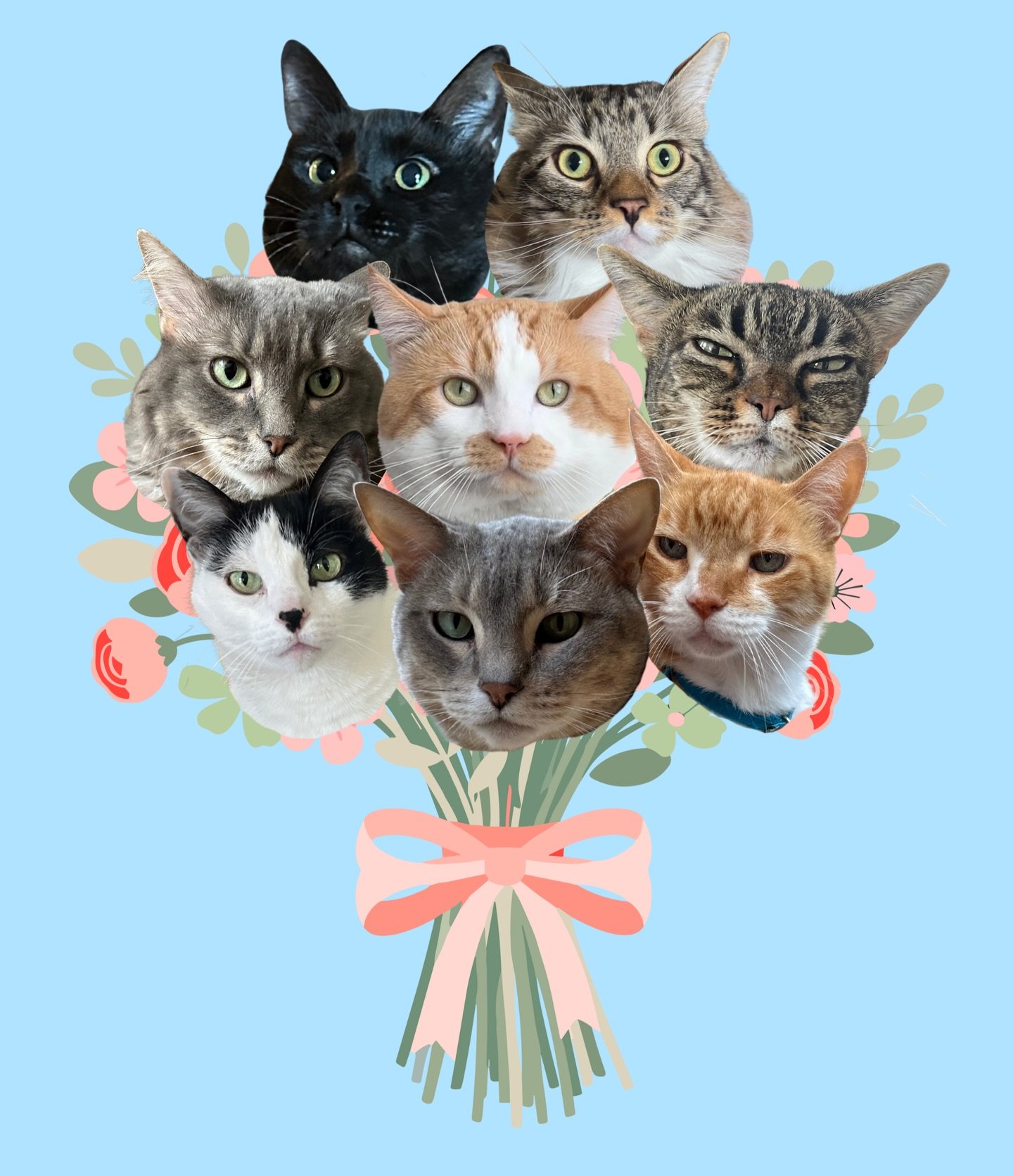 All I want for Valentine&rsquo;s Day is a bunch of Floofs💐💛