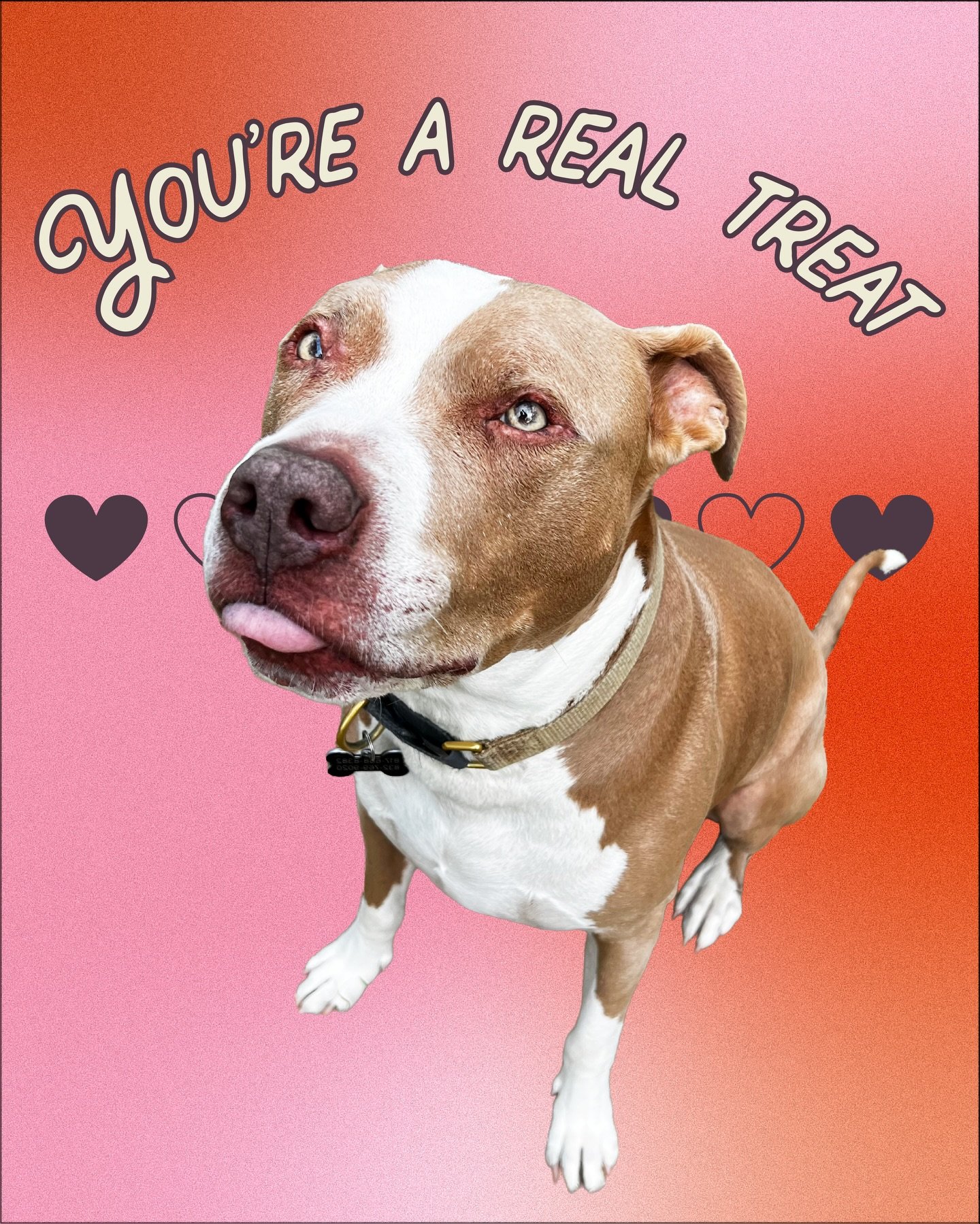 Send this to your Fetch App matches💌✨