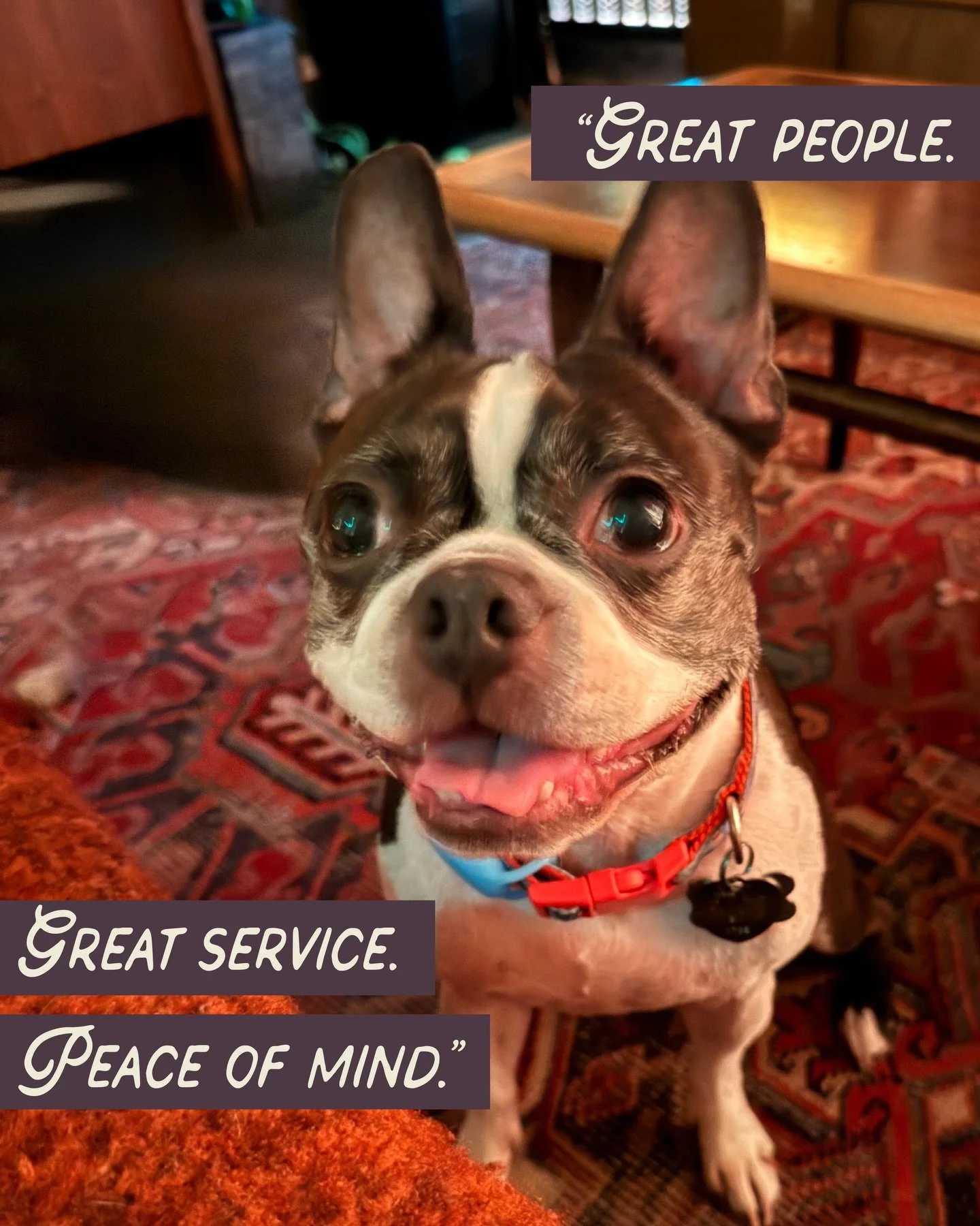 We 💛 getting reviews like this!!!! Ben, Kona, and Fran are the sweetest Floofs and we are so happy to spend time with them! We could stare into those big eyes all day😍

It means so much to us to know we help you have stress free vacations✈️💞 

Tha