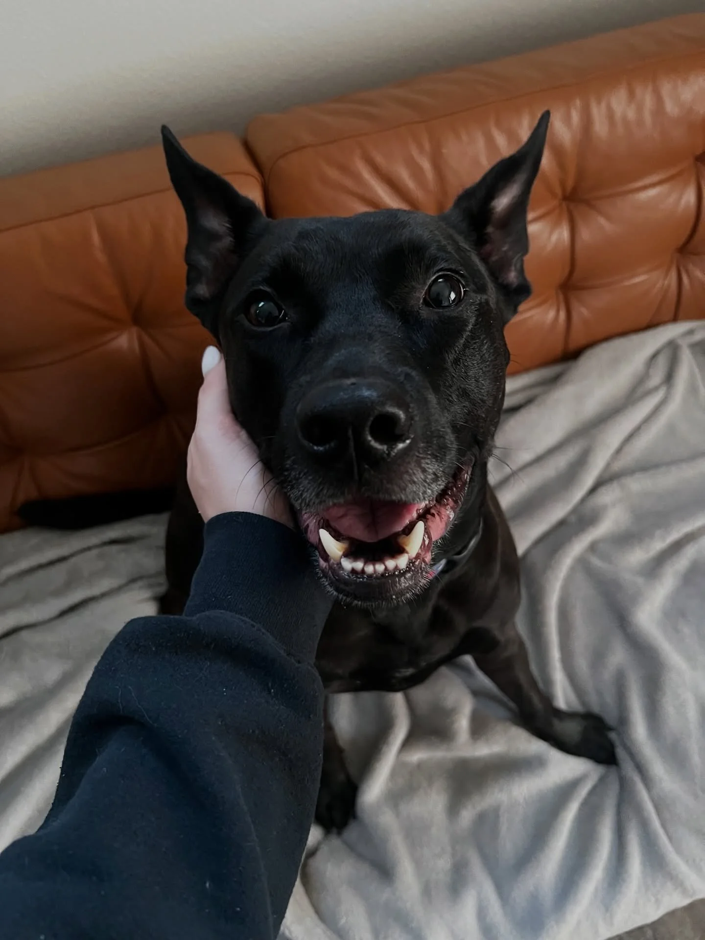 We smilin&rsquo; today!! 😁🤩 #internationaldayofhappiness