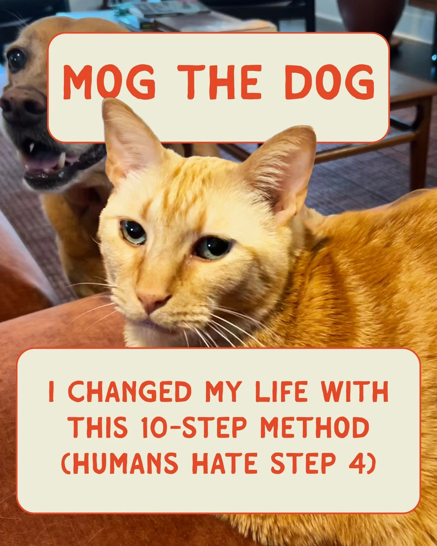 The world is crazy, dawg 😮&zwj;💨 #readallaboutit