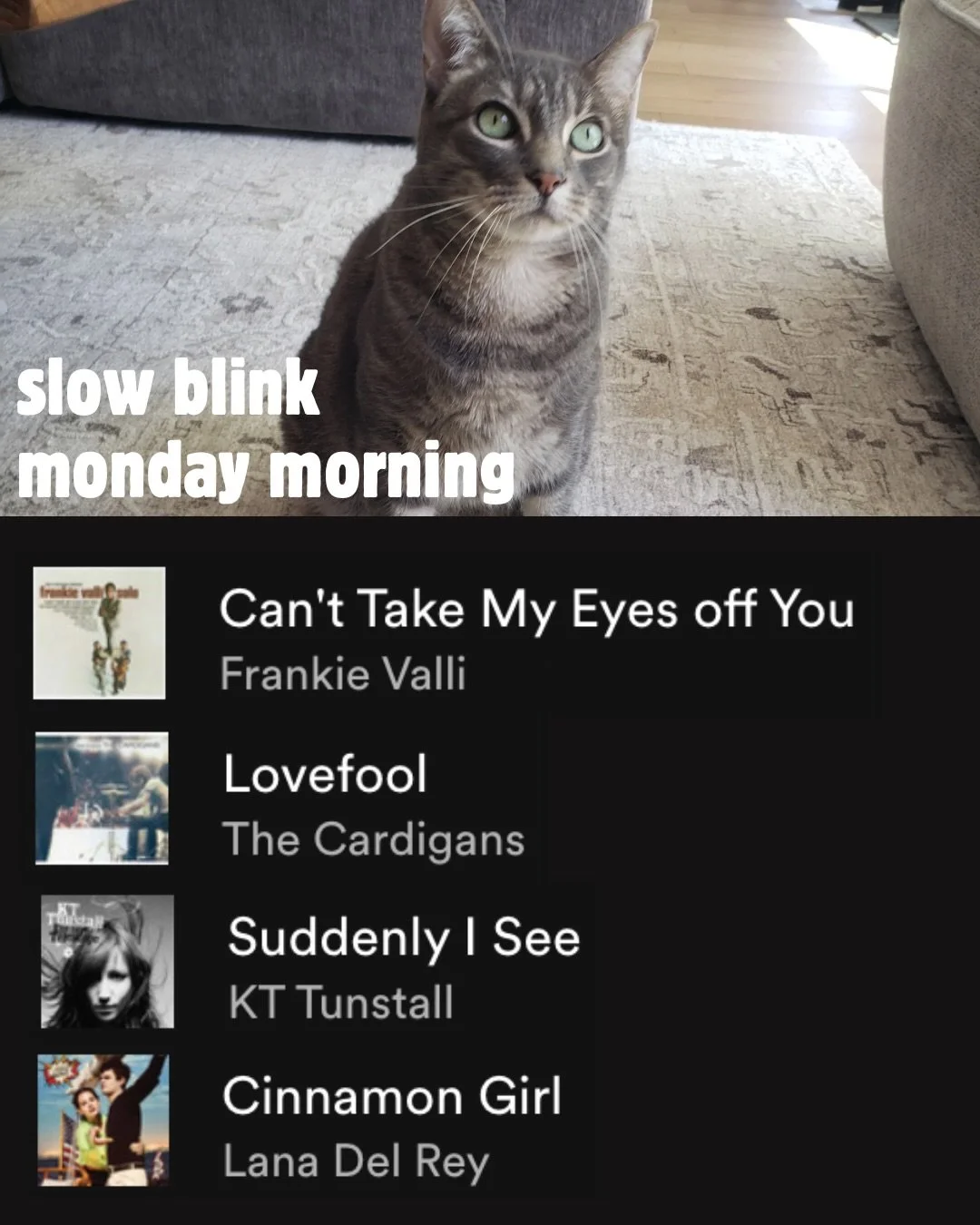Which Floof daylist are you adding to your queue??💃🎶🕺