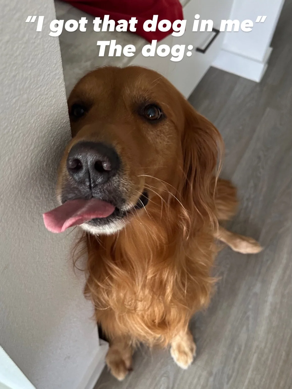 Which dawg do you feel resembles you the most, and why is it slide two?