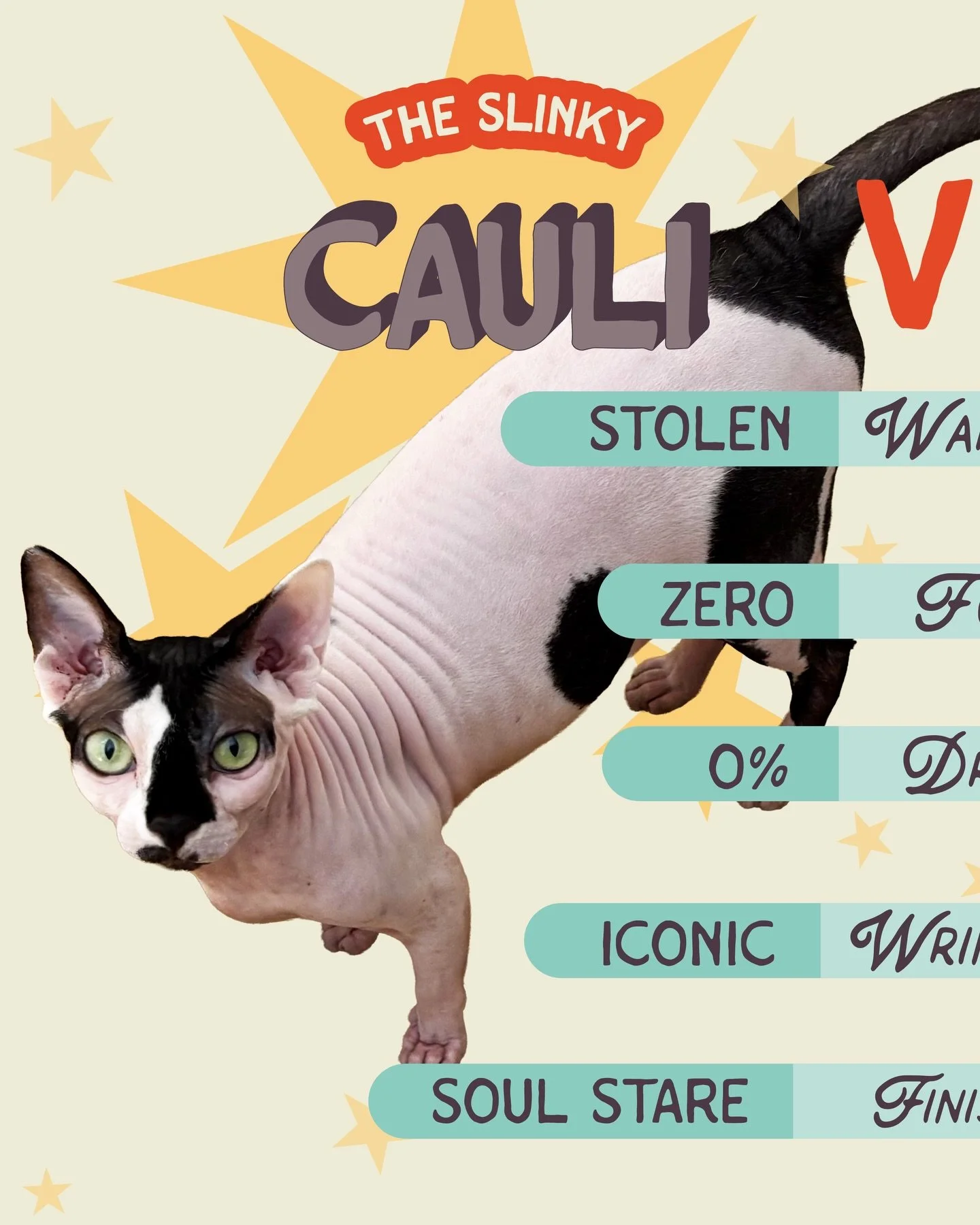 It&rsquo;s timeeeeee🥁🥁🥁🥁🥁for an 🔥XTREME FLOOF SHOWDOWNNNNNN🔥

🔉💥In this cornerrrrrr we have CAULI&mdash;- The hairless wonder🤯. Moisturized, freezing cold, and stealthy AKA a LETHAL combination to have as an opponent😵. Her sleek body gives