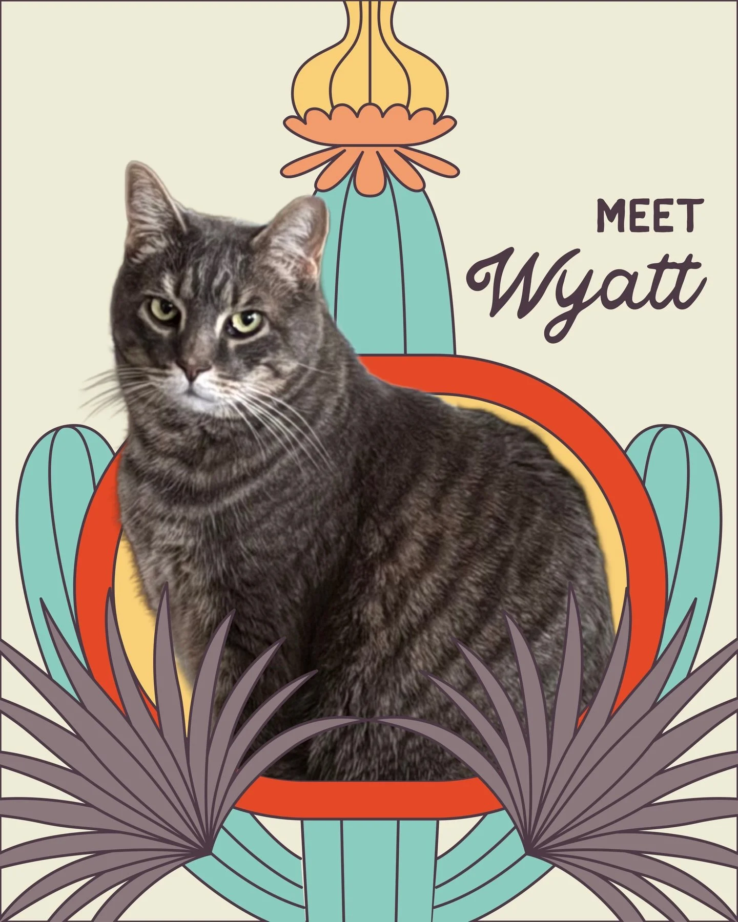 🍗🍖🦴Get your favorite treats out for our floof of the month 😸WYATT!!!!😸

Likes: Anything edible 🤤
Dislikes: Not being allowed to eat his brothers food 🤨
Go-To Floof service: Drop-in visits with his brother, Dante👋

The moment you walk through 