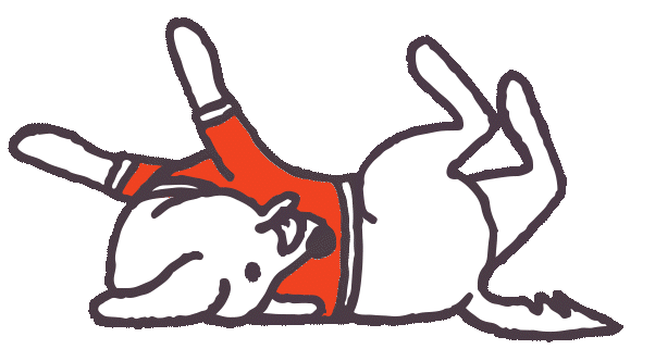 Goofy dog lying on his back, rolling around in the grass.