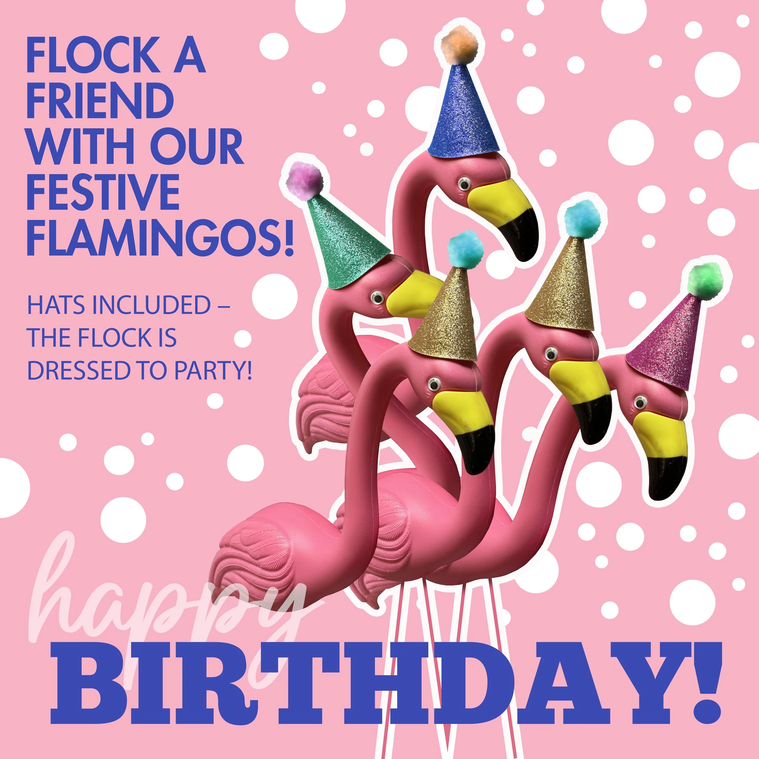 Flamingos_Birthday.jpg