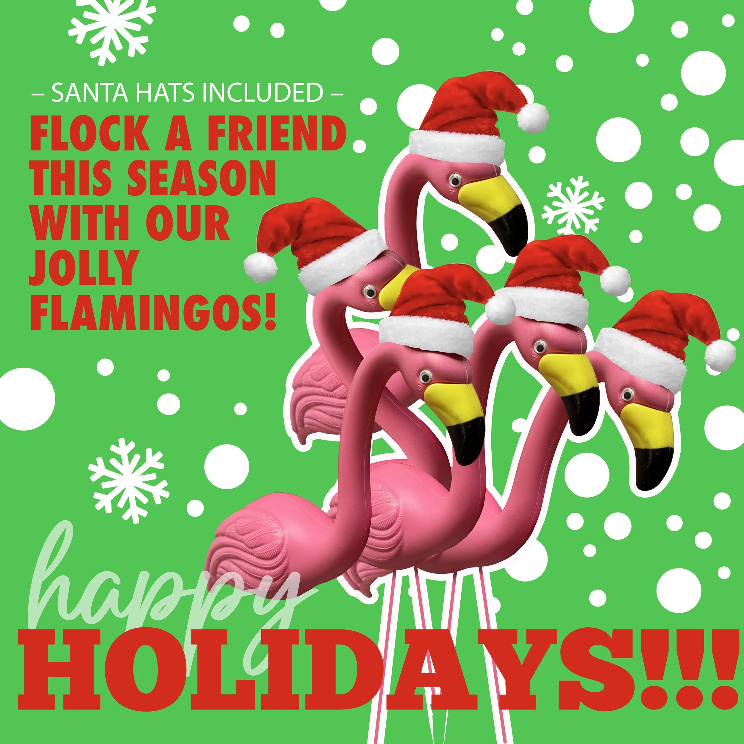 Flamingos_Holiday.jpg
