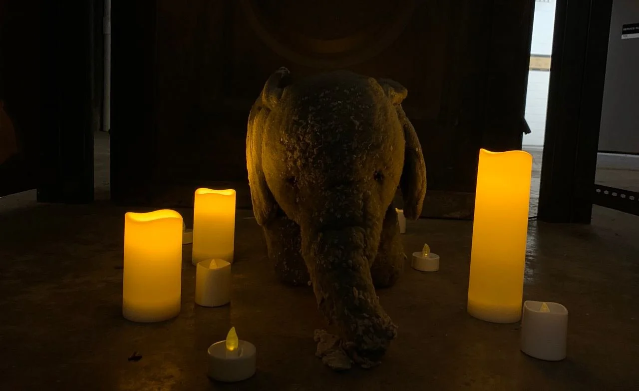 IMAGE 2023-01-31 20:13:37.jpg