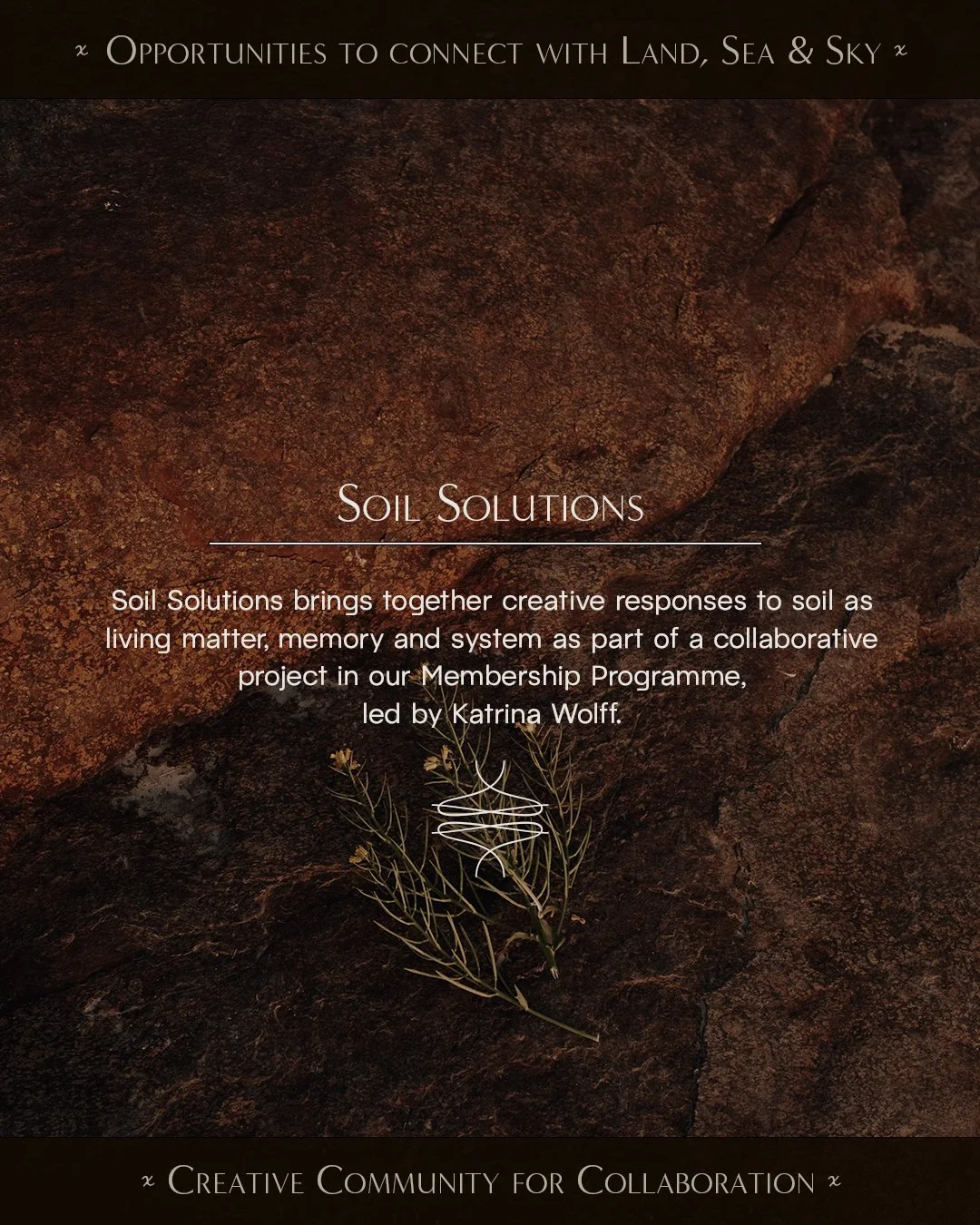 Soil Solutions.jpg