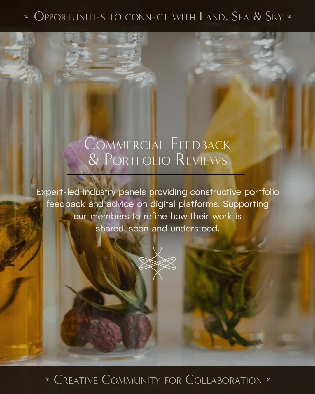 Commercial Feedback.jpg