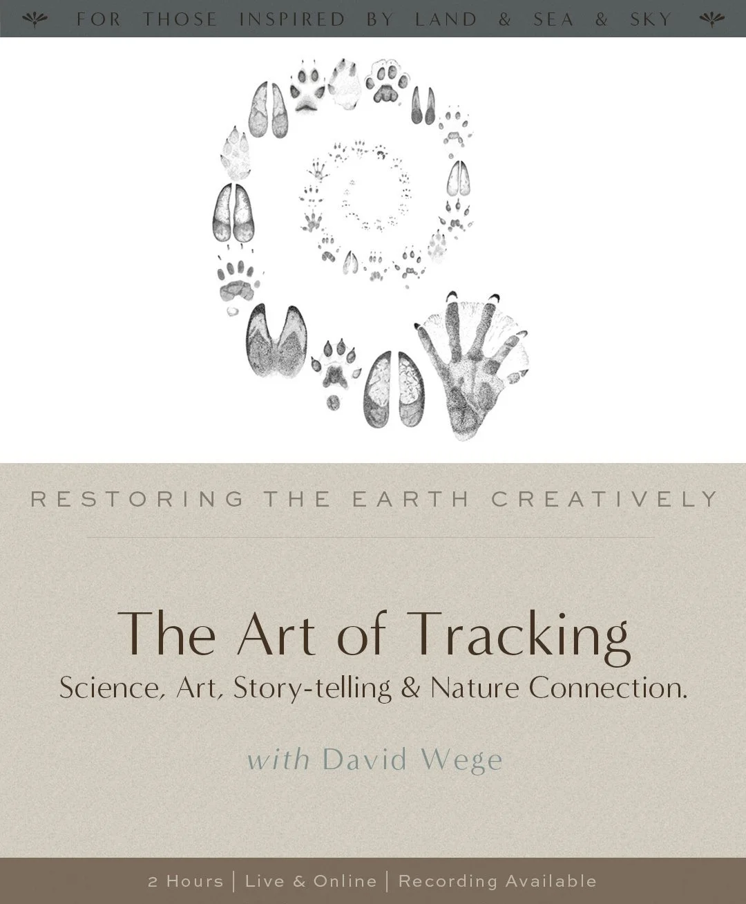 Book cover titled "The Art of Tracking" with subtitle "Science, Art, Storytelling & Nature Connection," by David Wege. Features a spiral of animal tracks and paw prints on a white background.