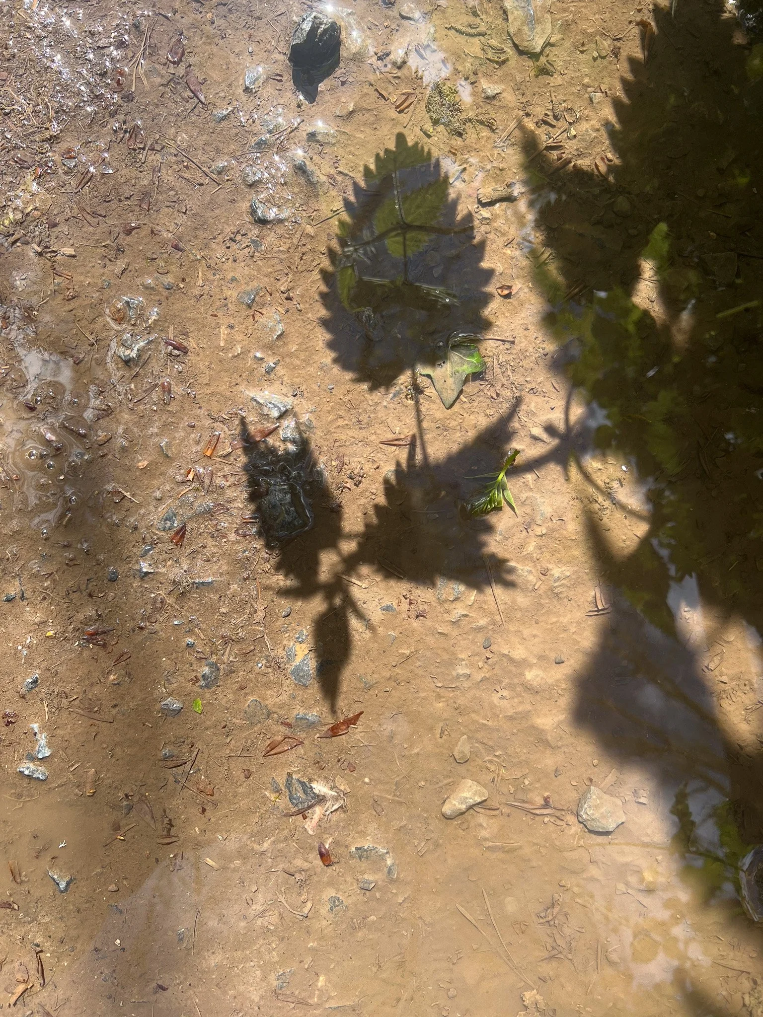 IMG_7427 2.jpg