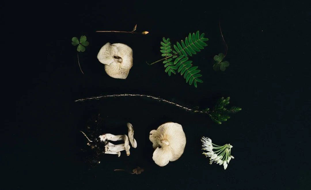 Plant Based Melanie.jpg