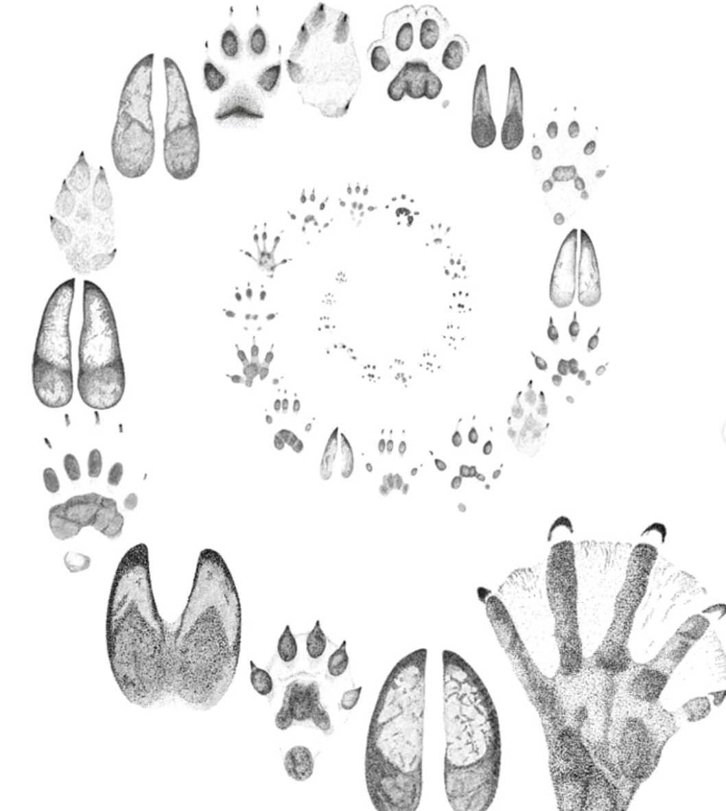 Screenshot 2024-11-29 at 12.53.37 PM.png