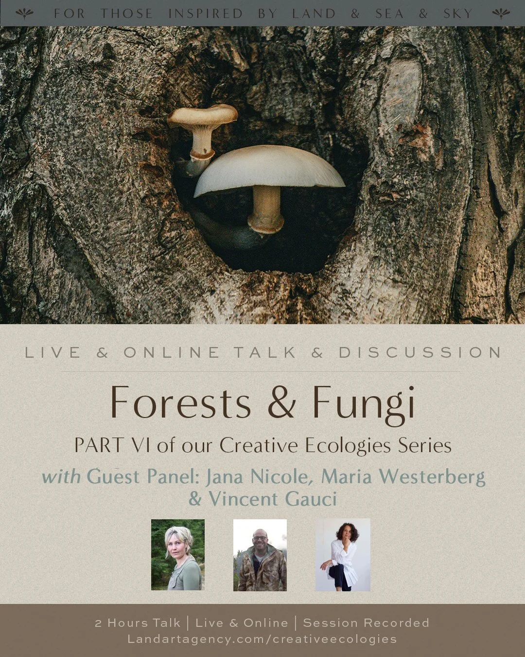 The image shows a close-up of two mushrooms growing in a tree hollow. The mushrooms have beige stems and caps, with the larger mushroom having a rounded cap and the smaller mushroom having a flatter cap.