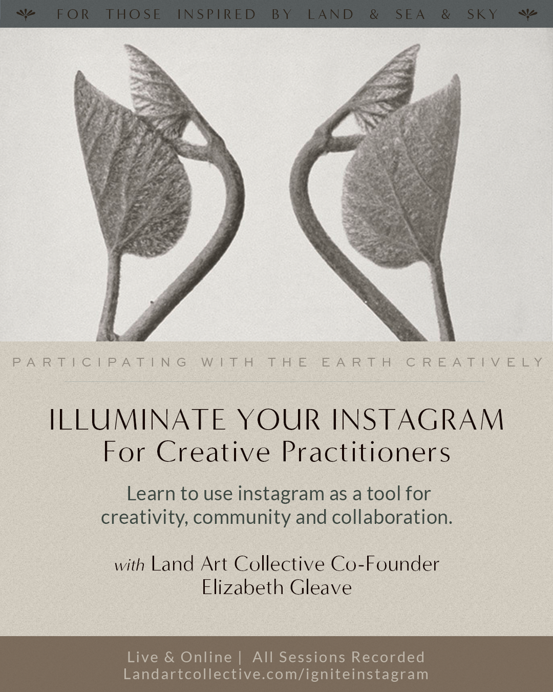 Illuminate your Instagram