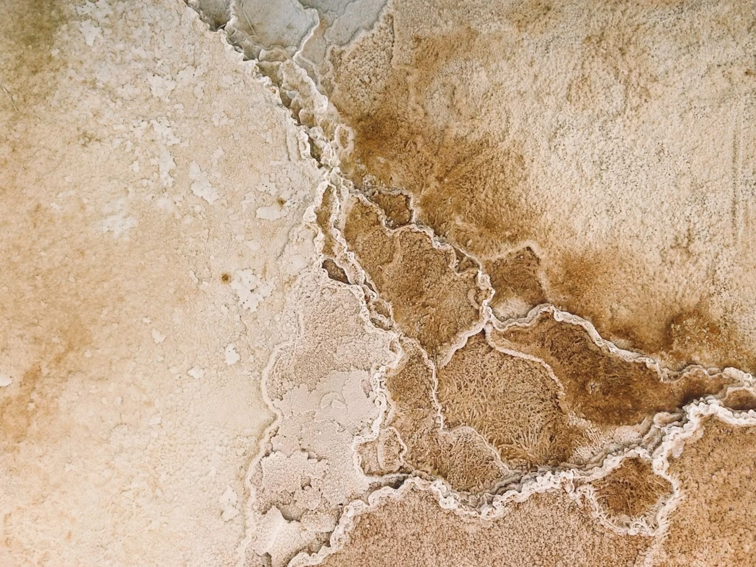 Close-up image of cracked and textured dry salt flat or mineral deposits with various shades of beige and brown.