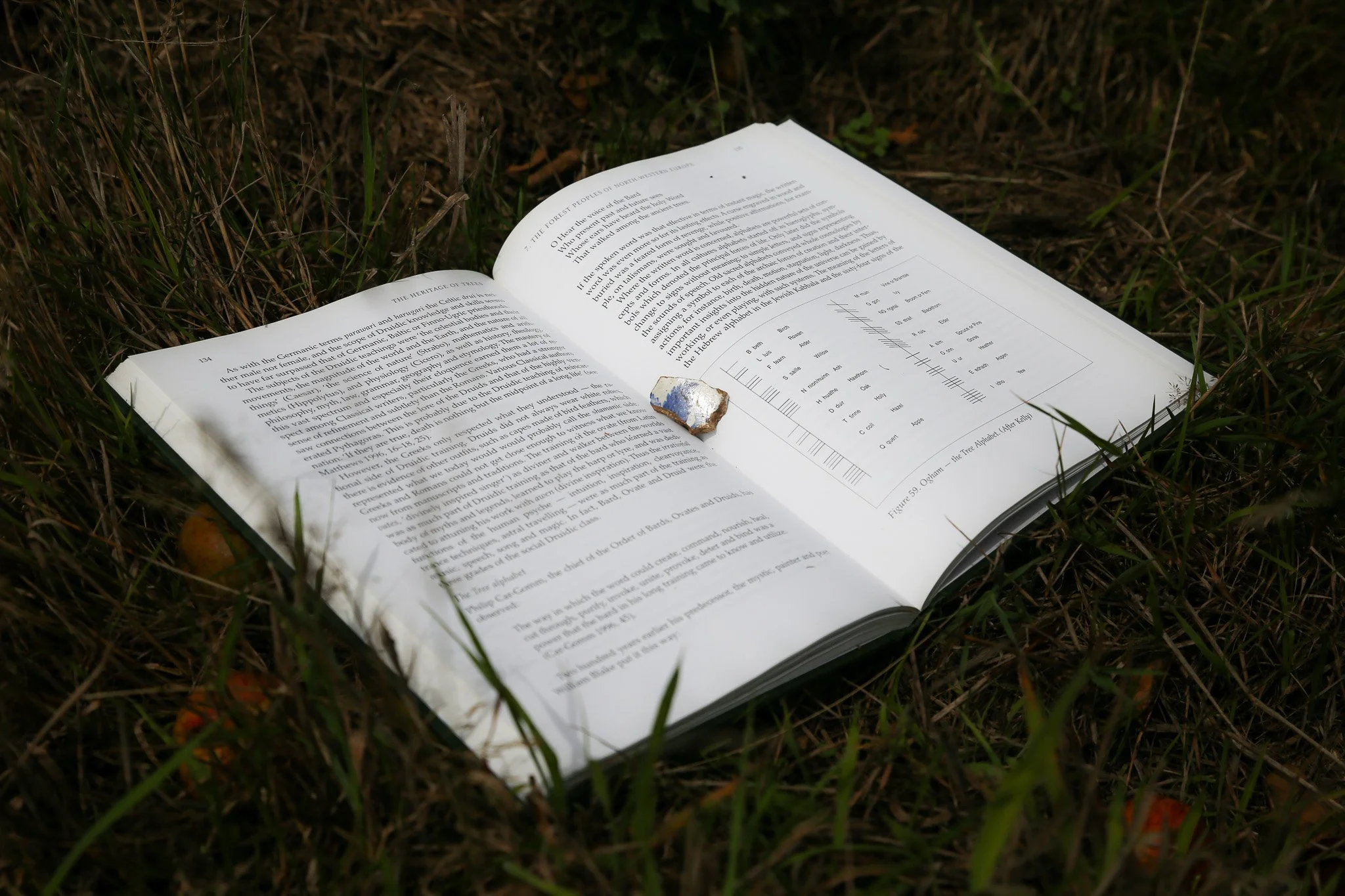 Lessons in Listening 2025 EG 37.JPG