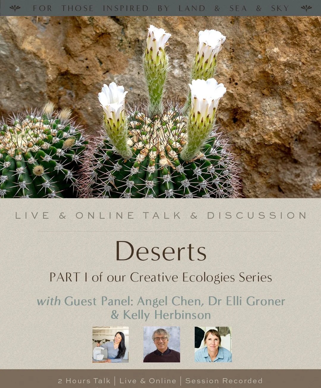 Close-up of a cactus with white flowers blooming from its top, set against a rocky background.