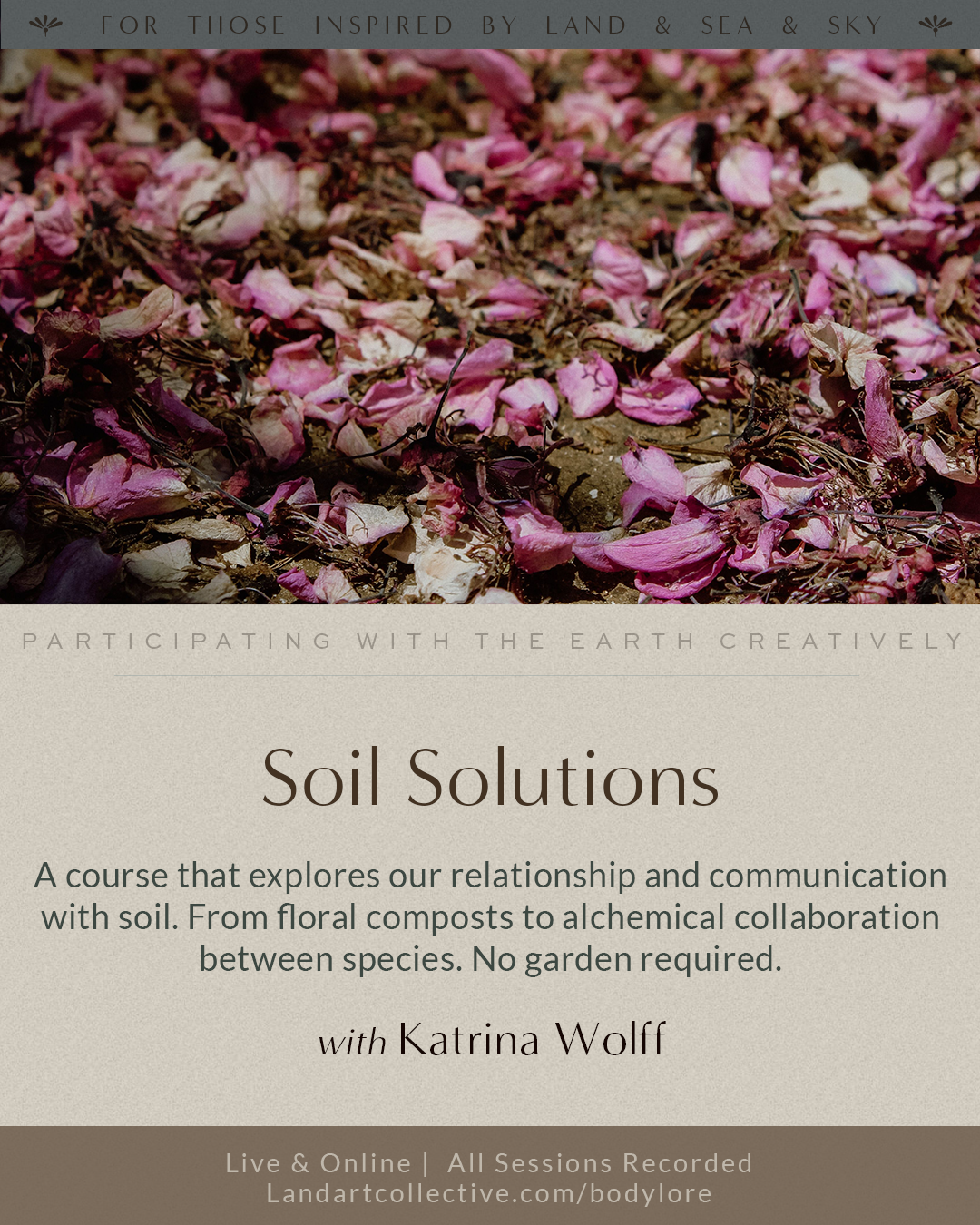 Soil Solutions.png