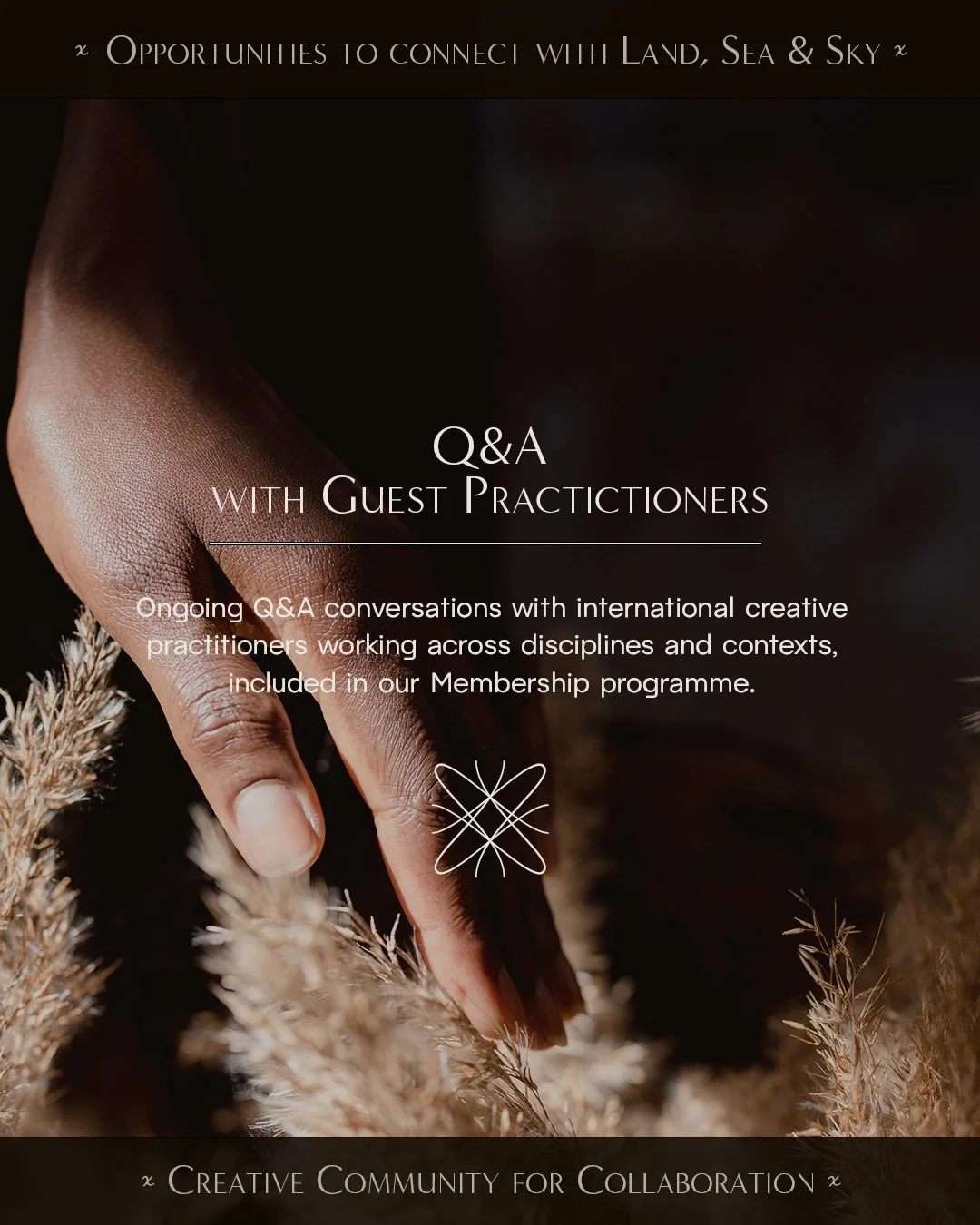 Q&A with Guest Practictioners.jpg