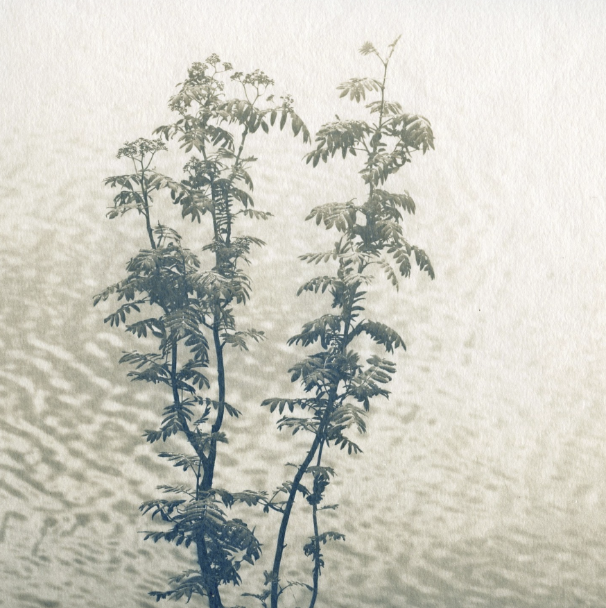 Screenshot 2023-08-08 at 7.03.00 AM.png