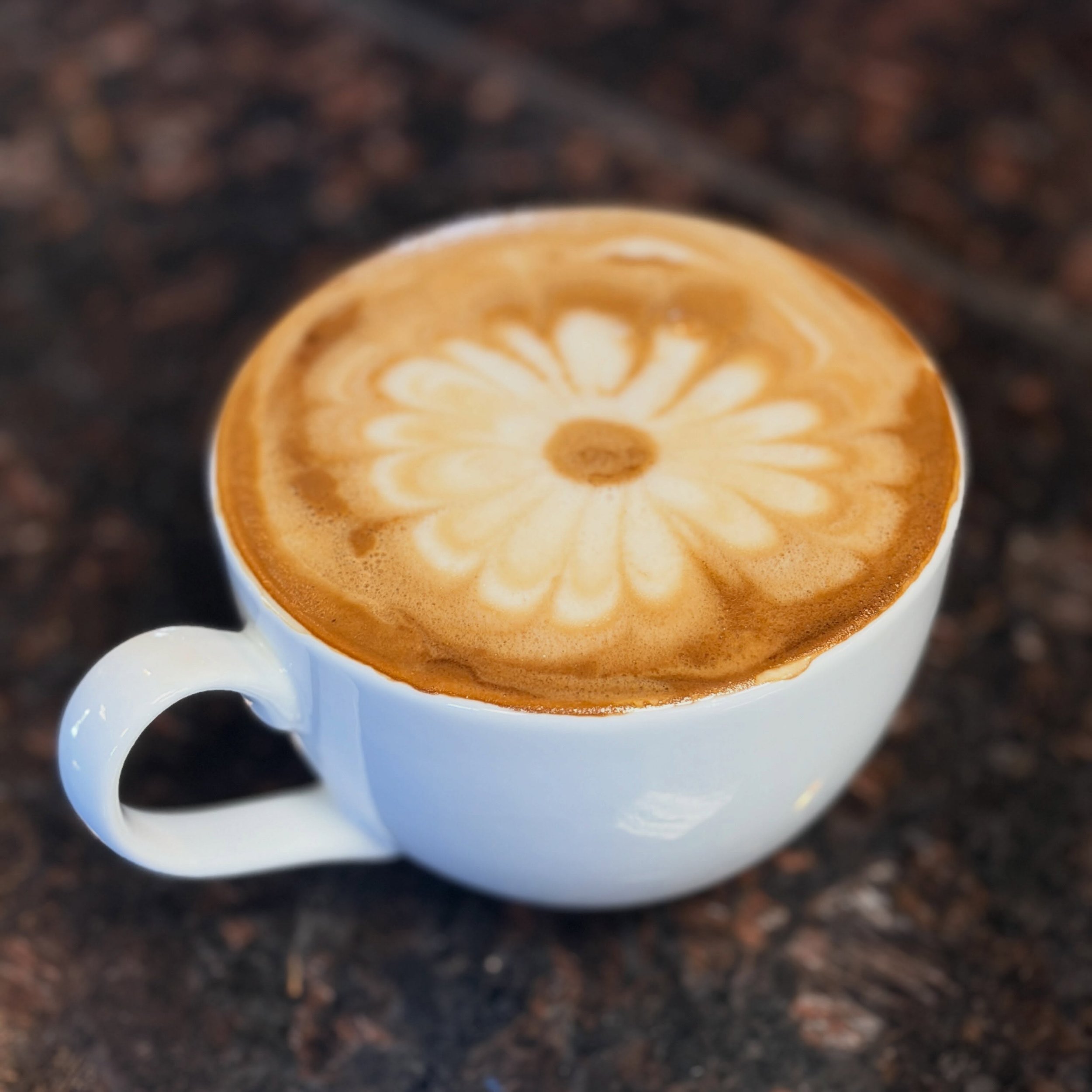 Good morning from the Grad Club! Our baristas are busy pouring espresso drinks, and Daffodilia&rsquo;s beautiful latte art made my morning 🌼 

#ldnont #gradlifewesternu #latteartgram