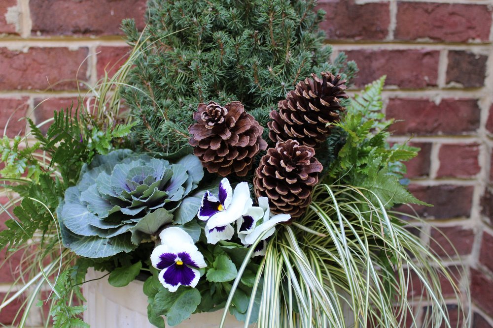 Fall Container Gardens: Online Course for Autumn &mdash; Contained Creations