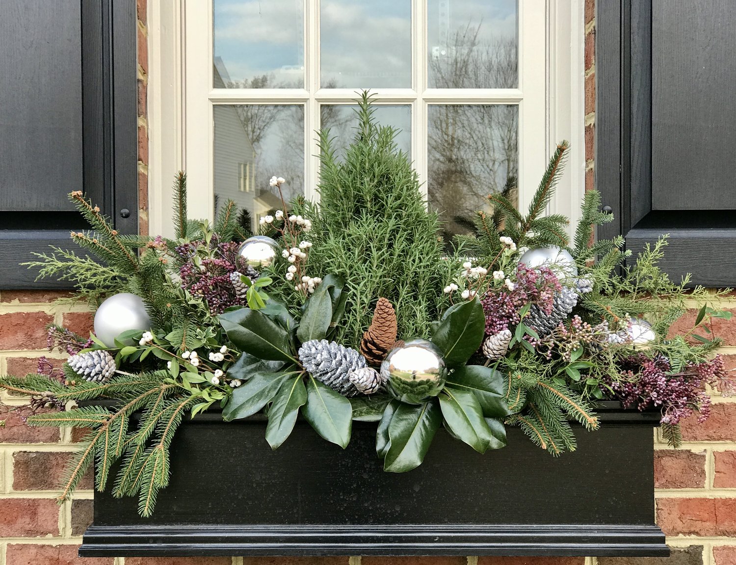 Online Class: Winter Container Gardens — Contained Creations