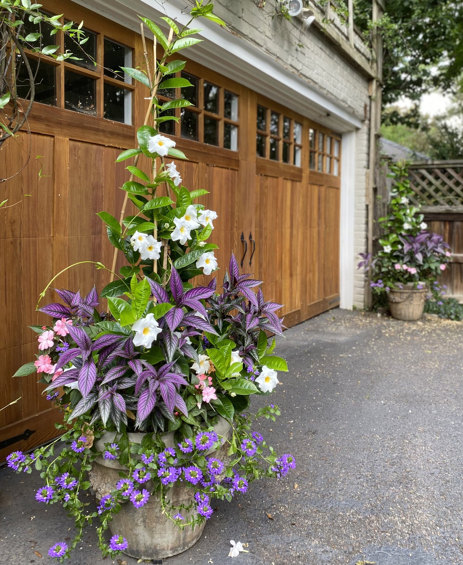 Summer Window Box Recipe — Contained Creations