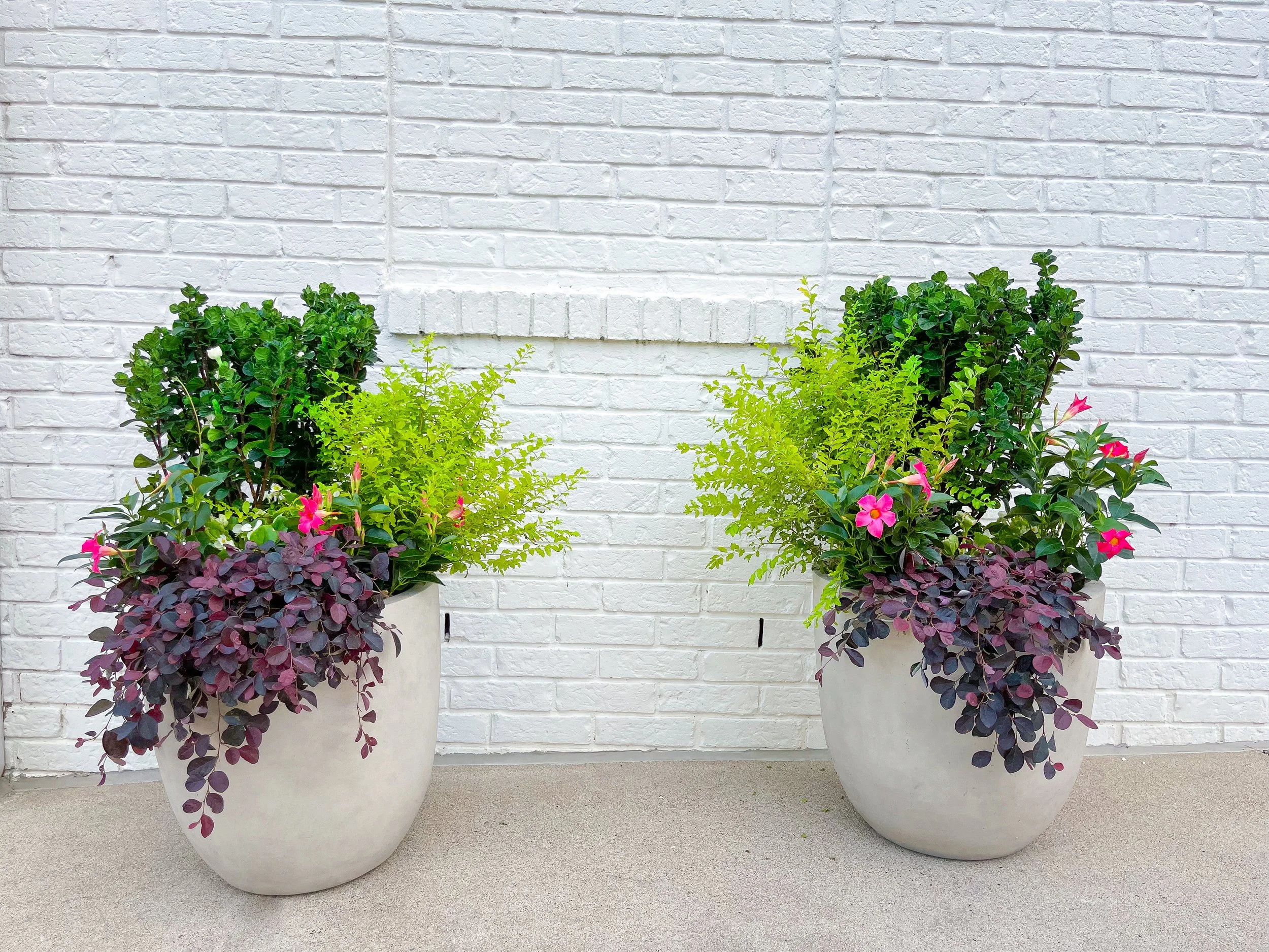 Planting Season Containers How to Create a Multi-Season Container Garden — Contained Creations