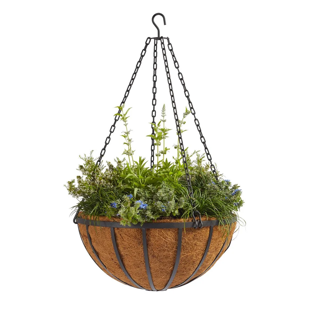 Hanging Basket