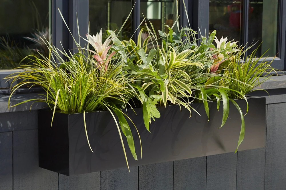 Modern Fiberglass Window Box