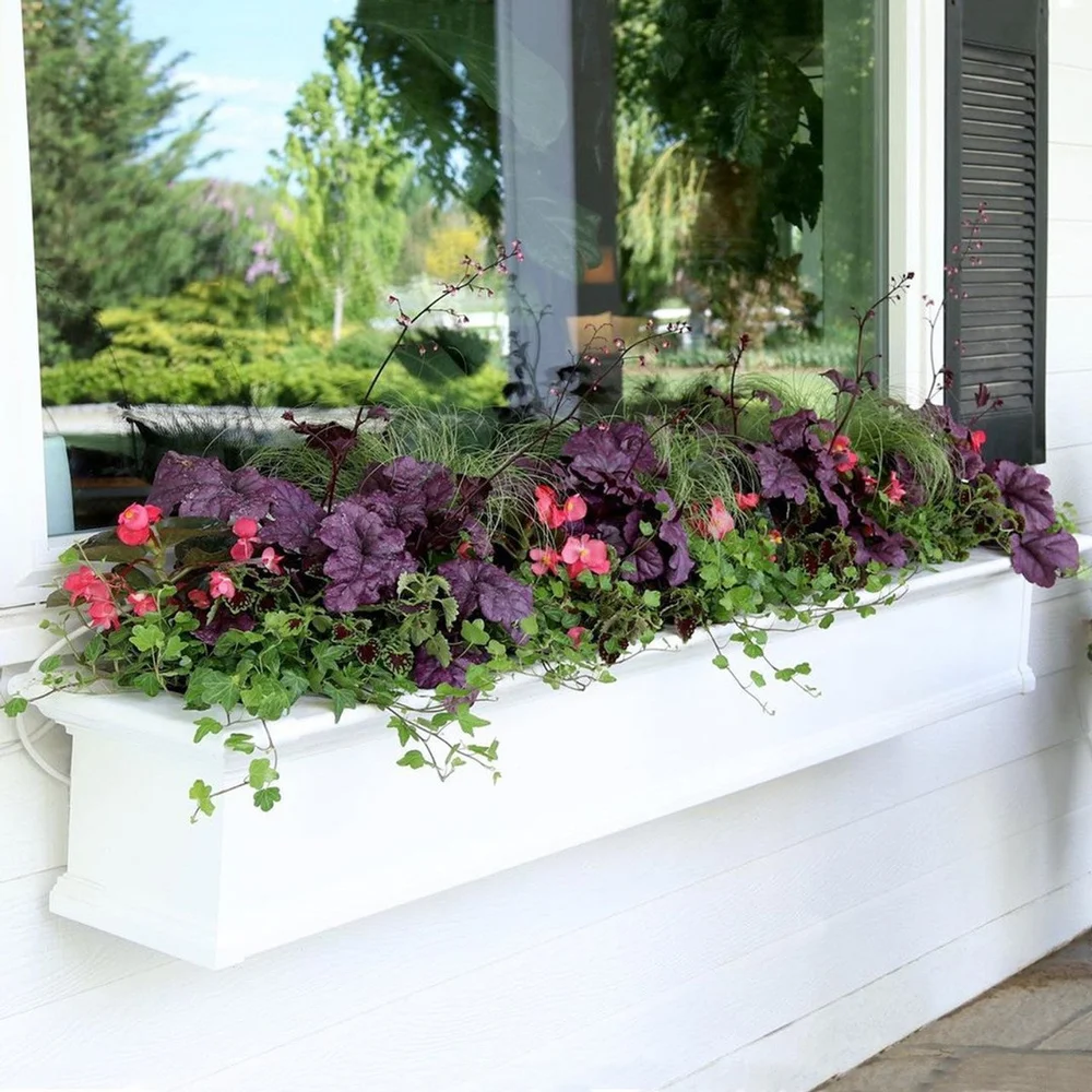 Provincial Window Box