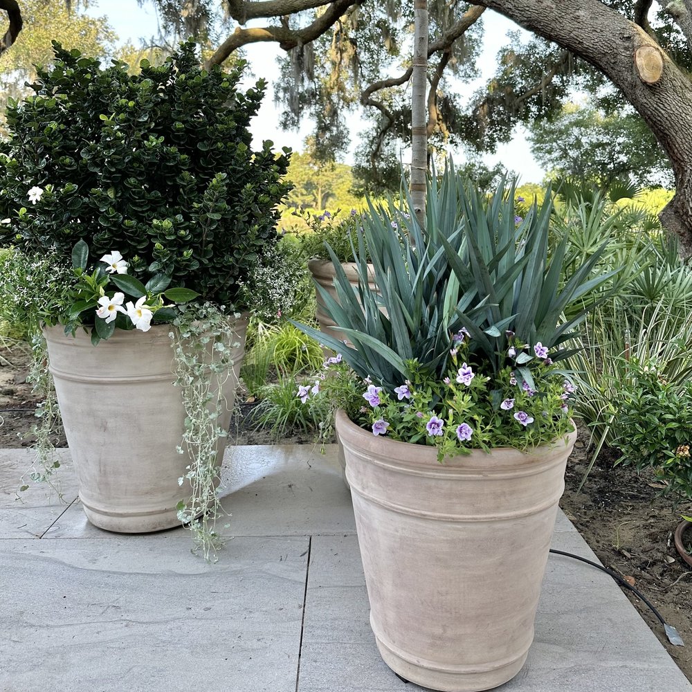 Unglazed Terra Cotta + Clarity Blue™ Dianella