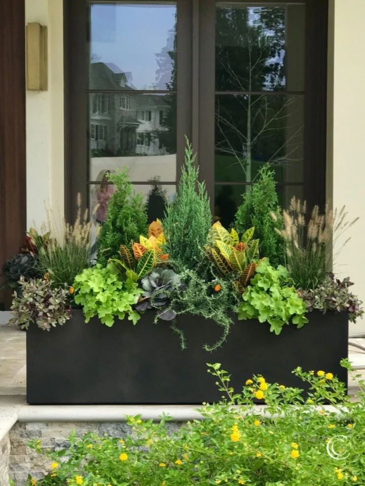 Want your fall porch to look like a designer stopped by? Without hiring one? 🍂

These are all from my Fall Recipe Collection, designed for real-life gardeners who want big, beautiful results with less trial and error.

💬Comment FALL and I&rsquo;ll 