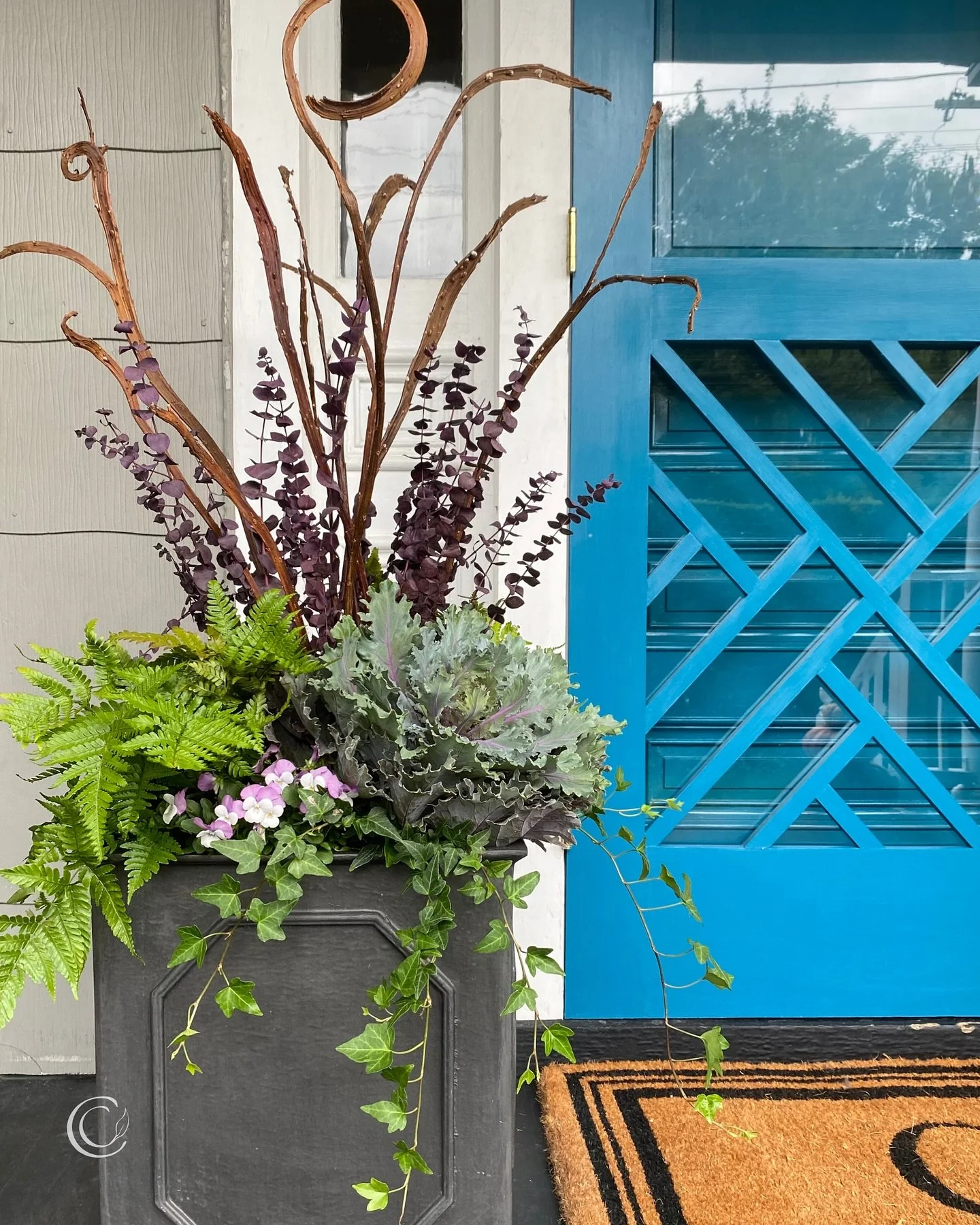 Autumn Brilliance Ferns 🌿 are a staple in my fall container gardens! 

&bull; lush and tough with just the right mix of height and weep
&bull; they like dappled shade 🌥️ up to a few hours of sun ☀️ this time of year, and usually withstand frost
&bu