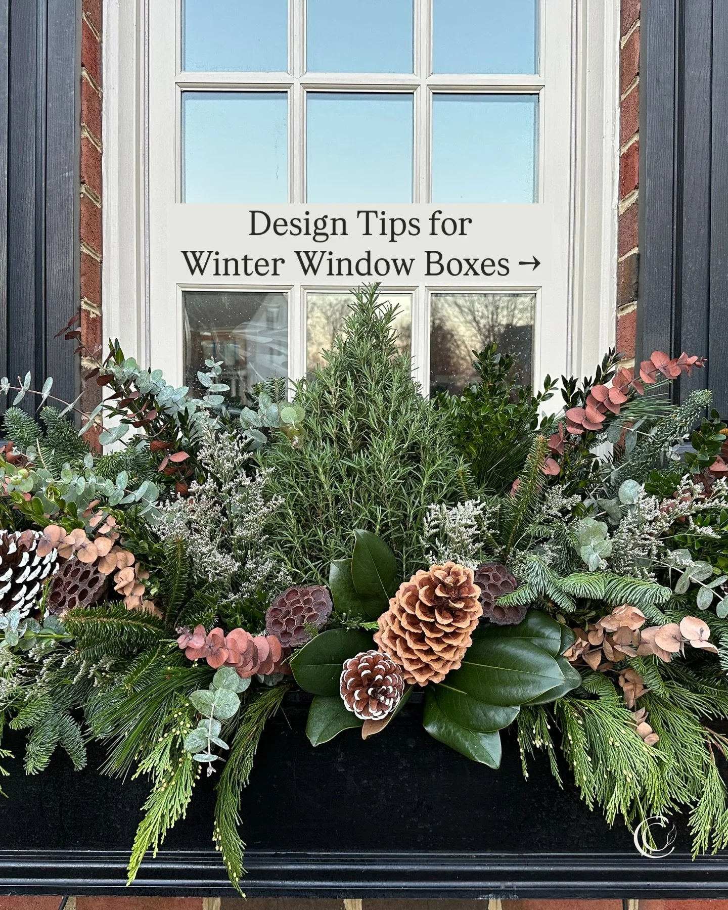It&rsquo;s Winter Window Box Wednesday!❄️ Swipe for fresh ideas to boost your curb appeal this season. 

If you&rsquo;re looking for new window boxes, 💬comment SAVE and I&rsquo;ll send the details to get 20% off @hooksandlattice now through Dec 24! 