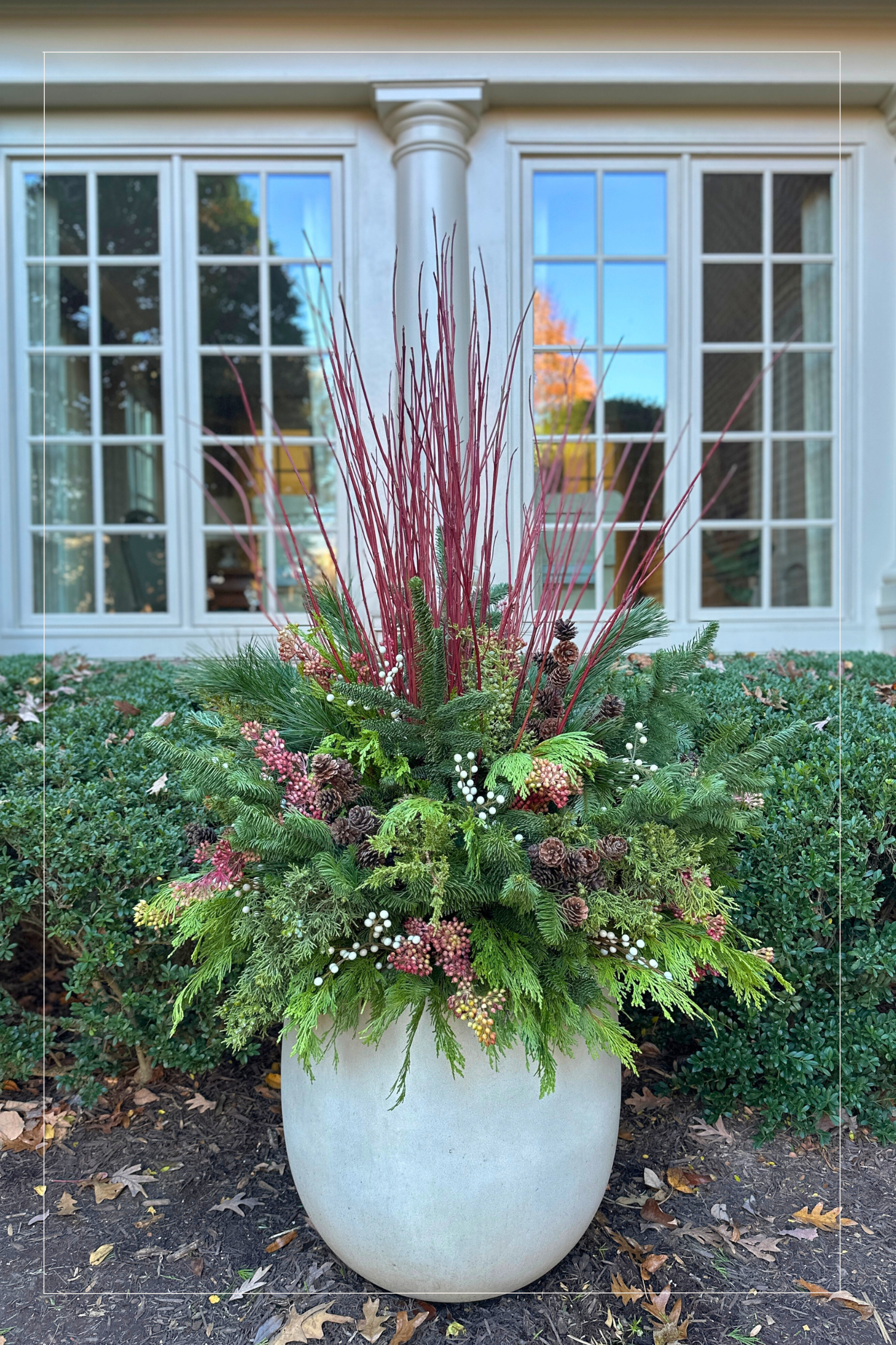 12 Days Berry Planter.png