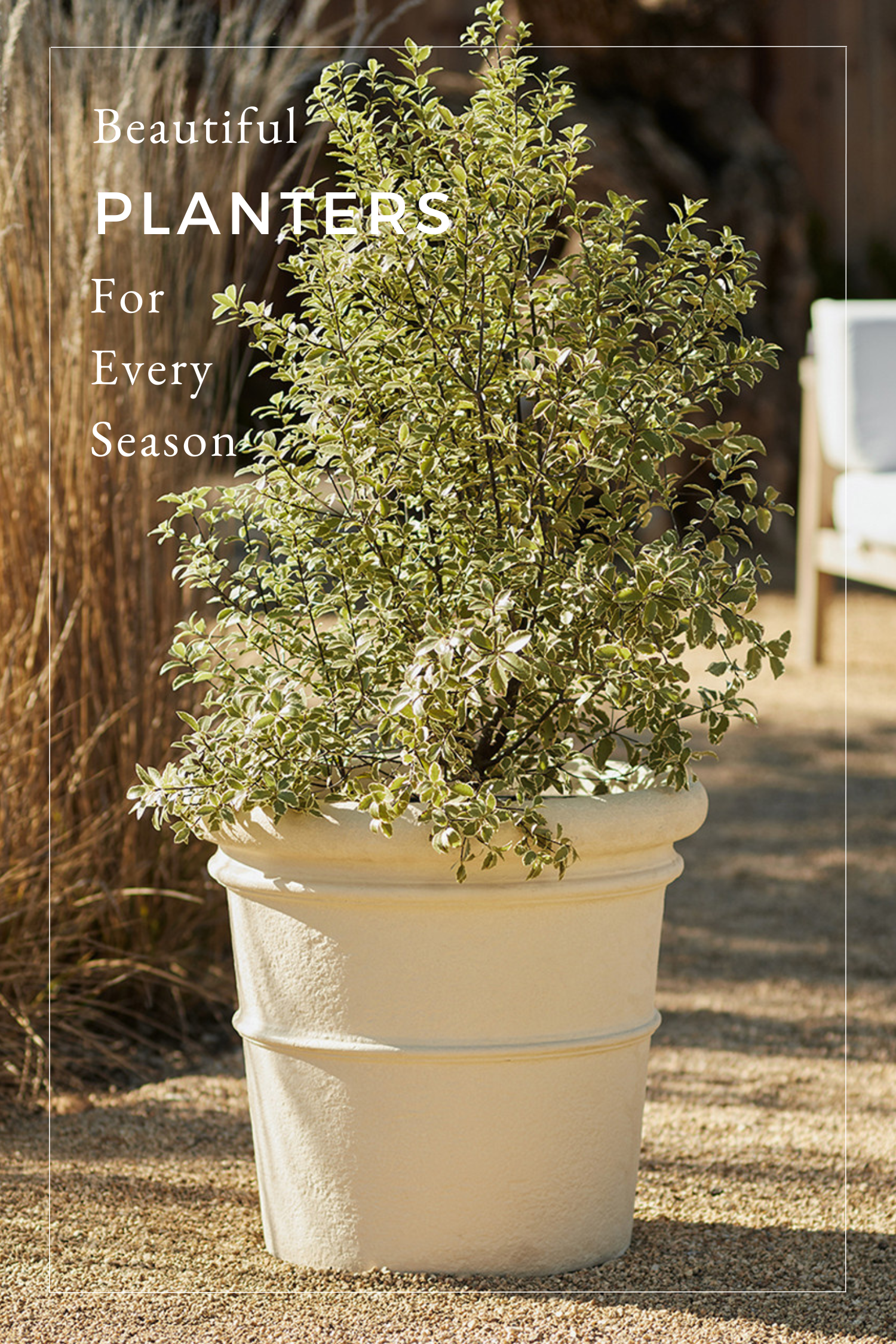 12 Days Banded Planter.png