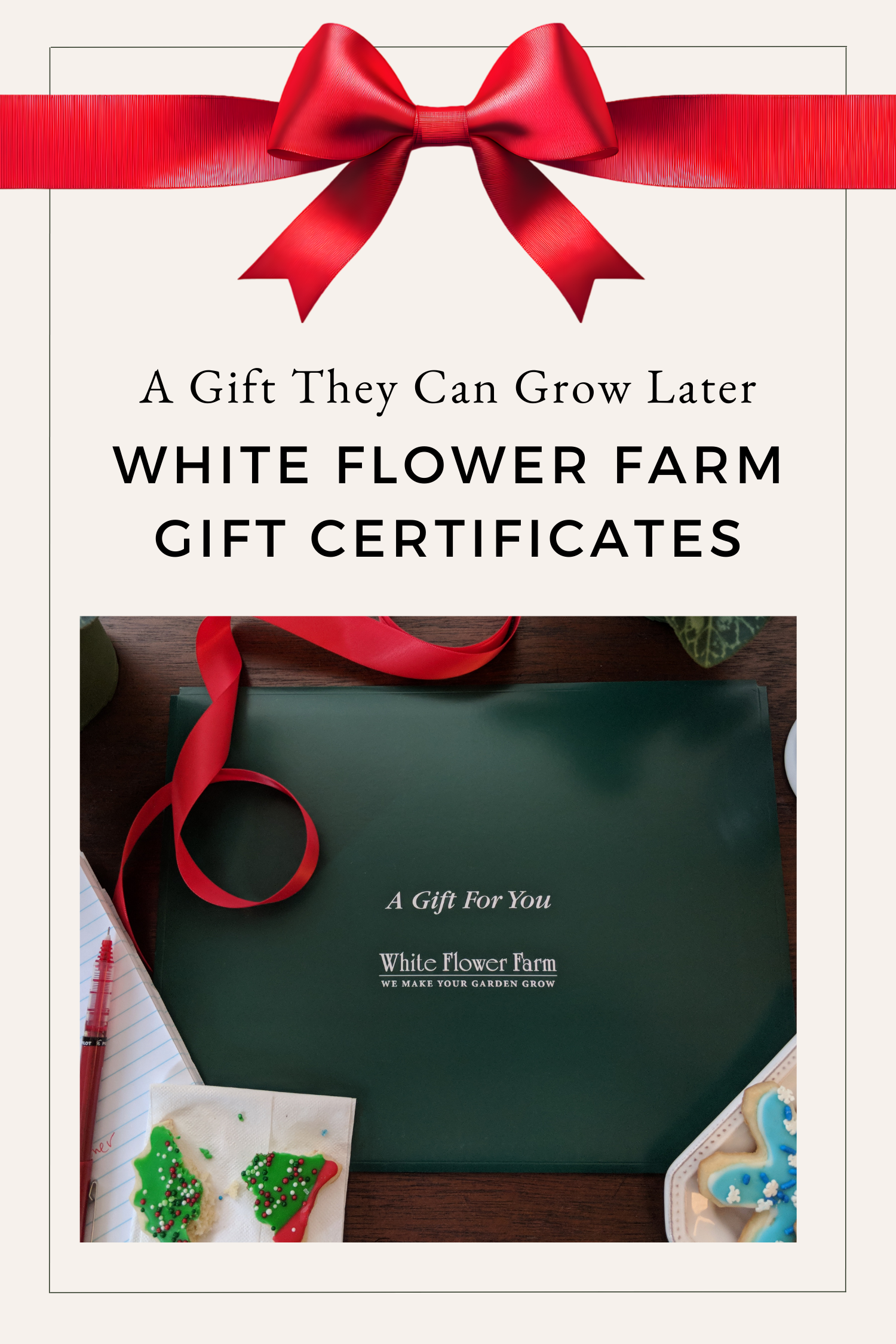 12 Days WFF Gift Cert.png